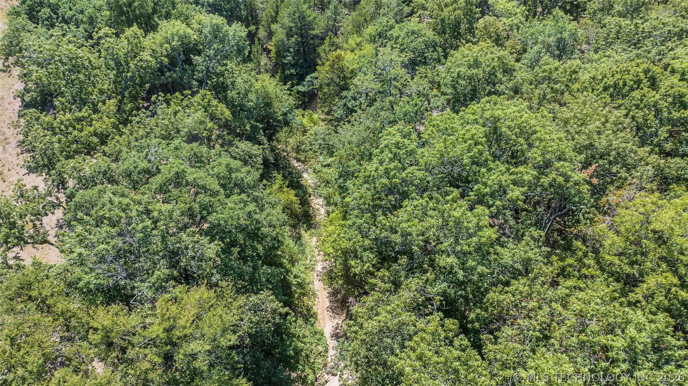 Mockingbird Road Property Photo 6