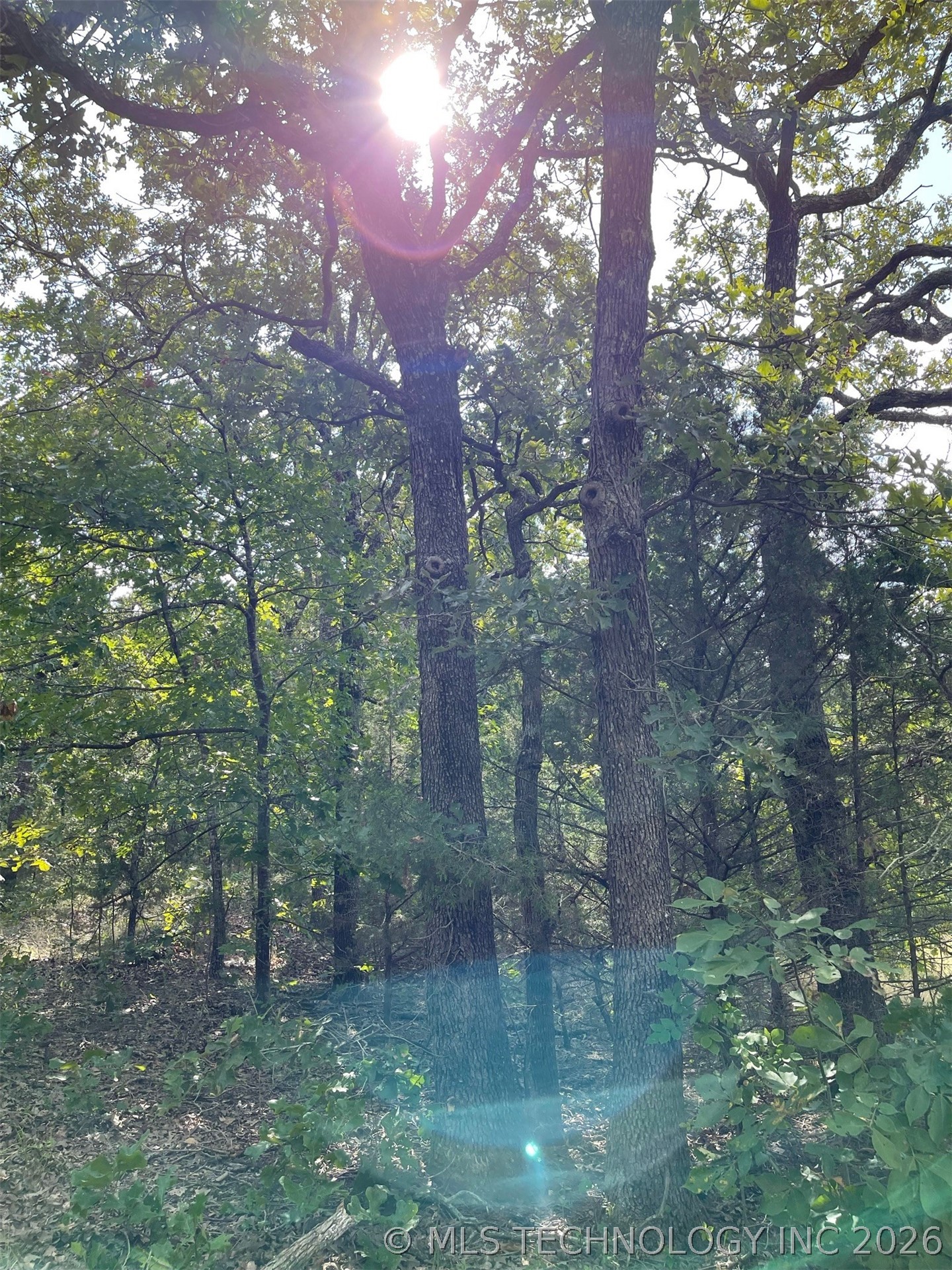 369195 E Keystone Keys Road Property Photo 7