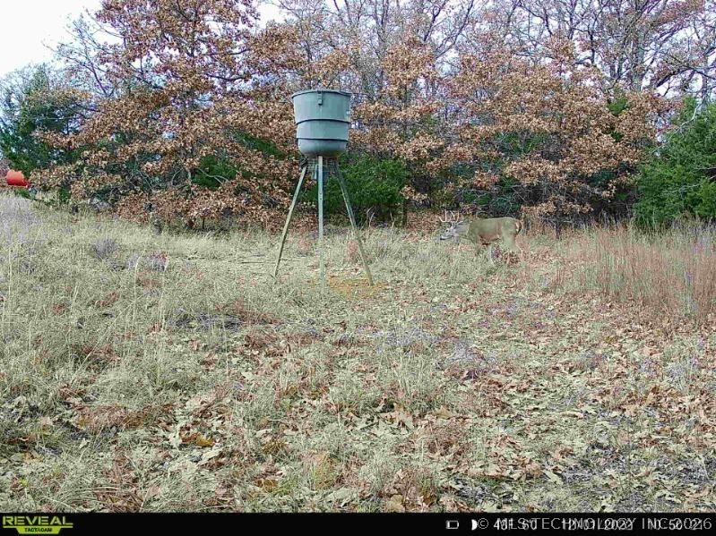 369195 E Keystone Keys Road Property Photo 12