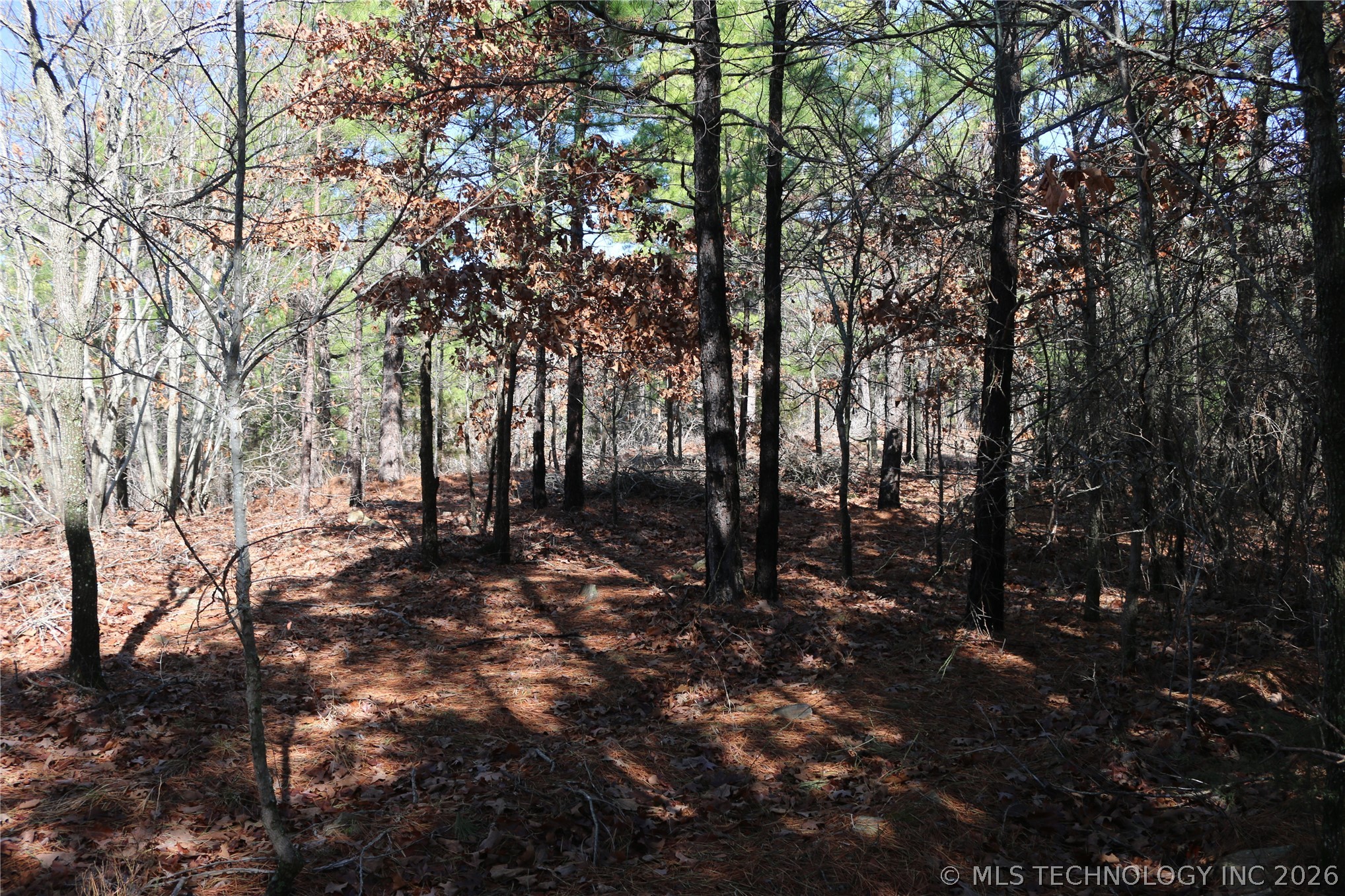 County Road 1342 Property Photo 17