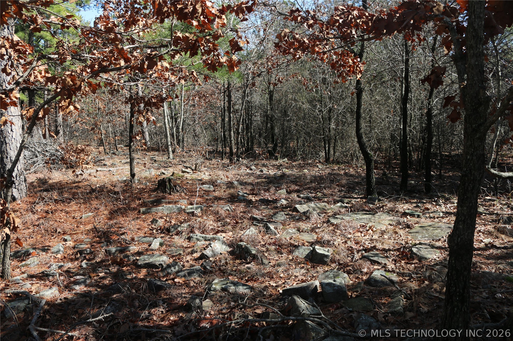 County Road 1342 Property Photo 19