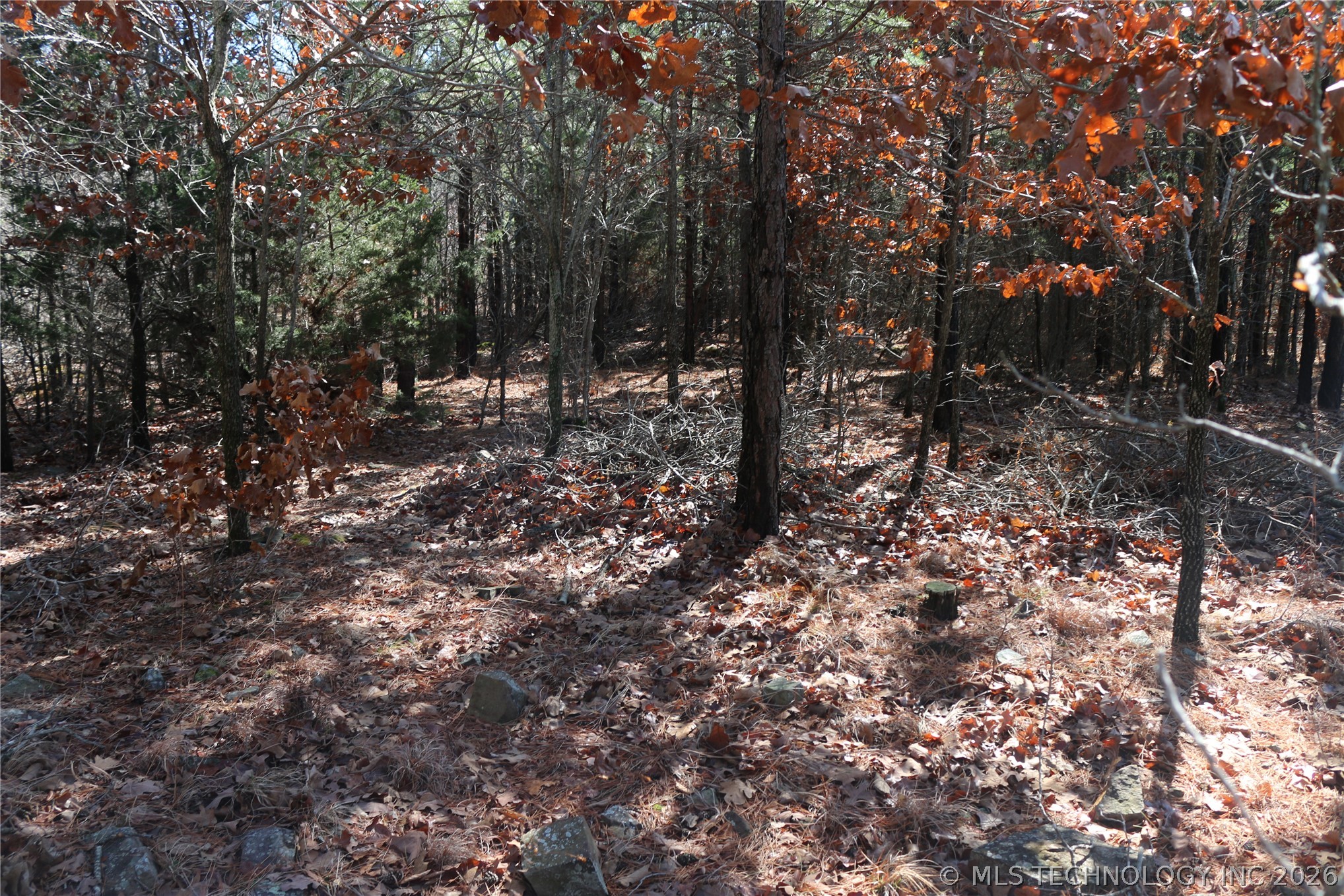 County Road 1342 Property Photo 20