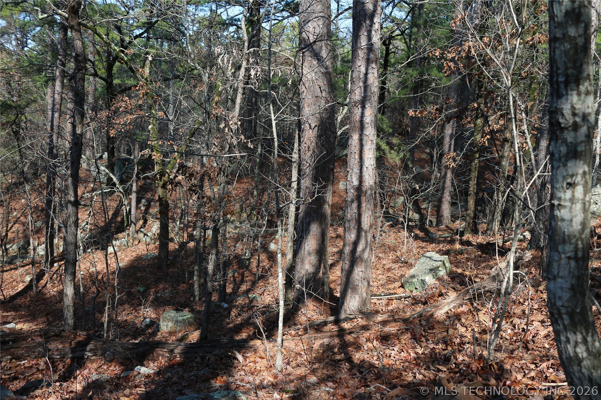 County Road 1342 Property Photo 23