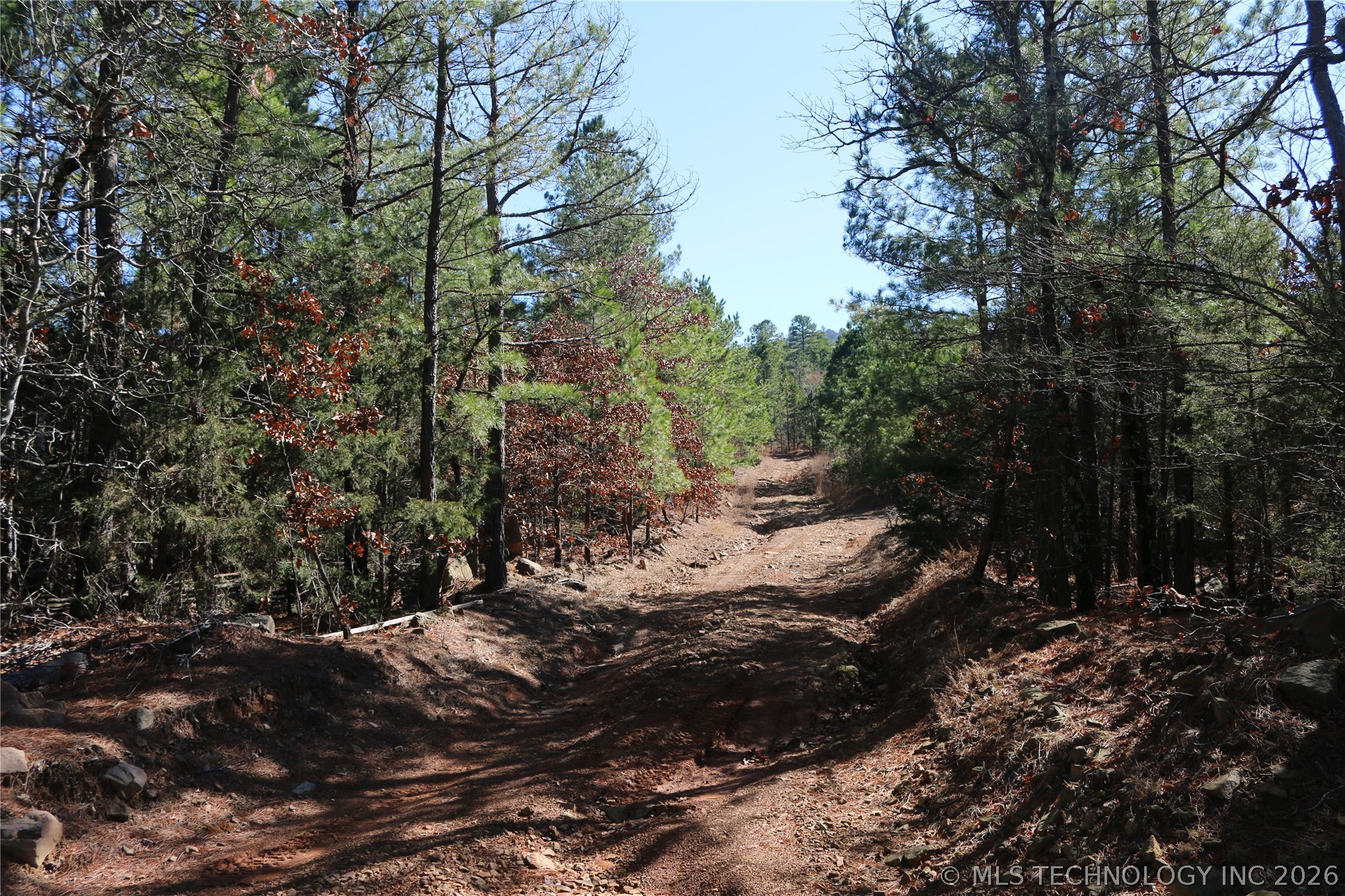 County Road 1342 Property Photo 27