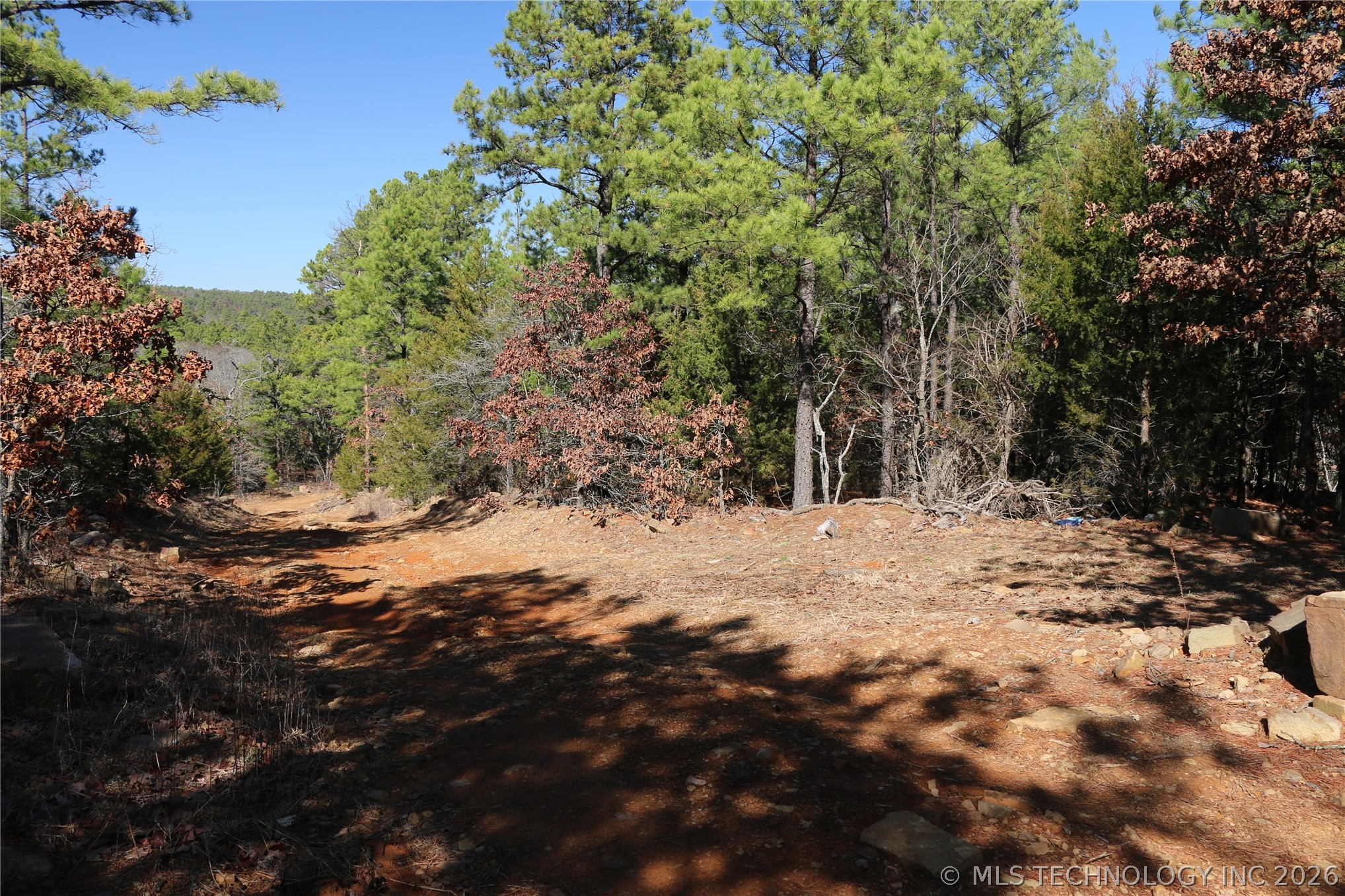 County Road 1342 Property Photo 28