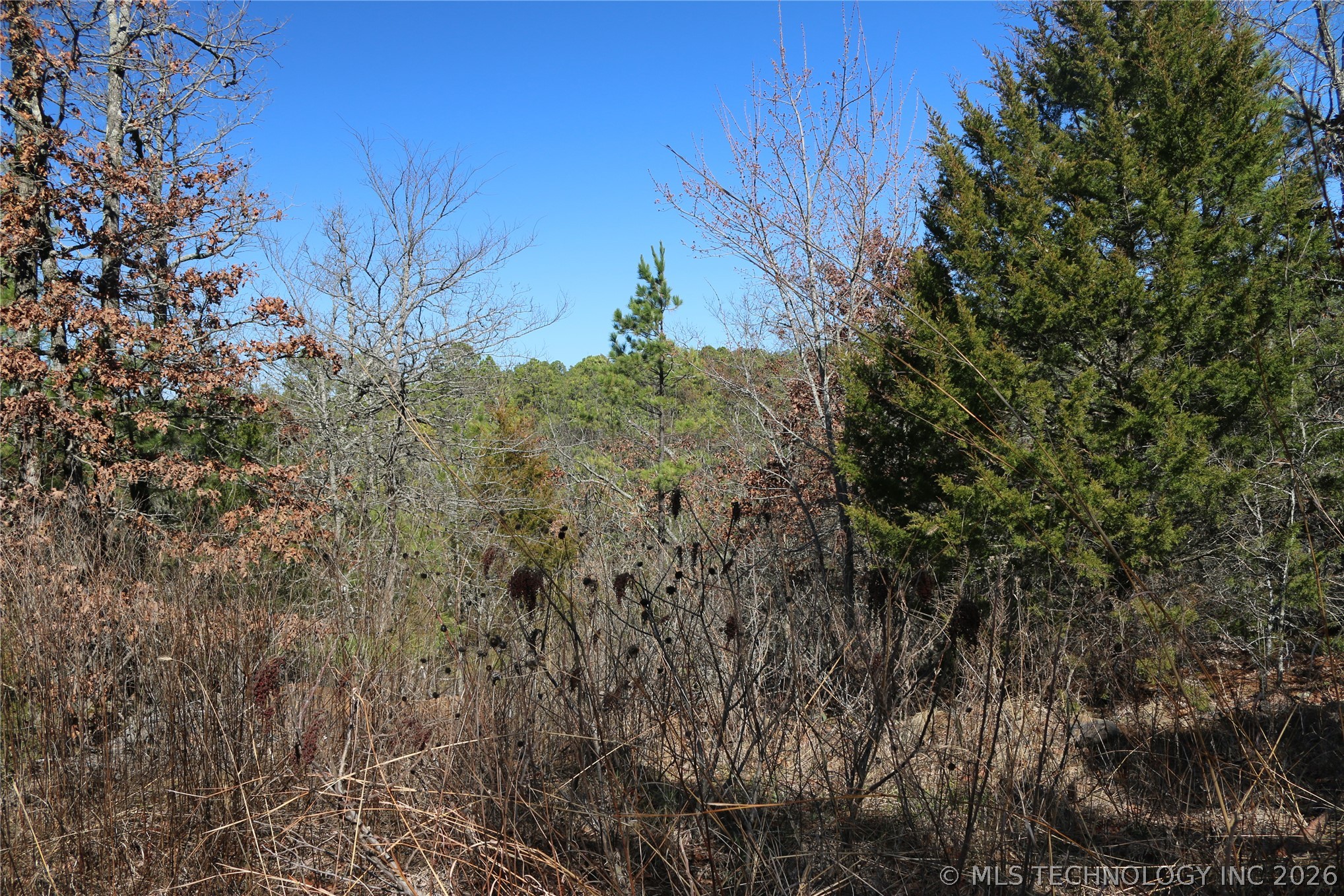 County Road 1342 Property Photo 29