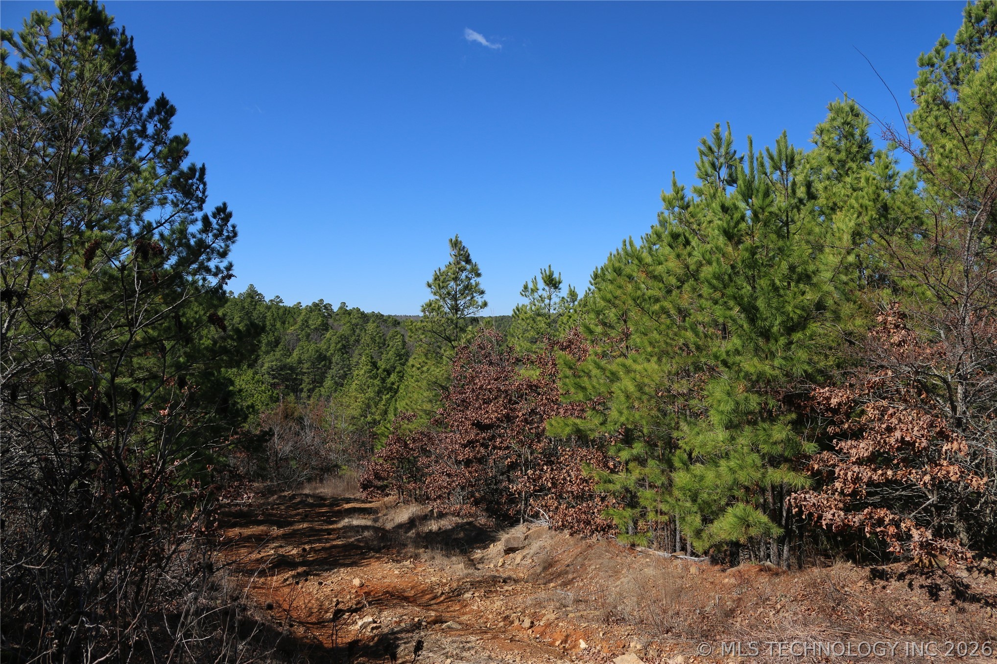 County Road 1342 Property Photo 31