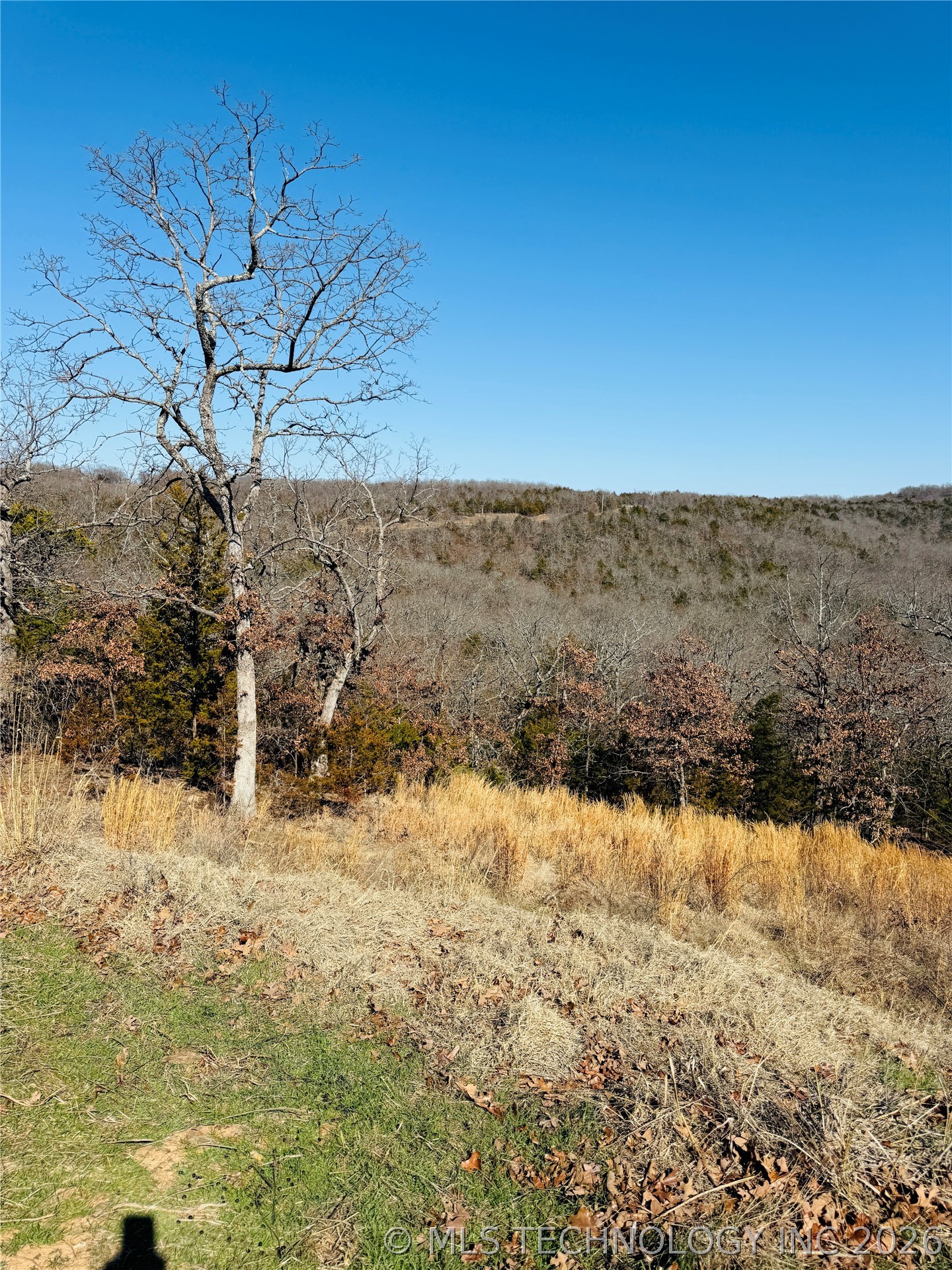 7 Mcnally Road Property Photo 18