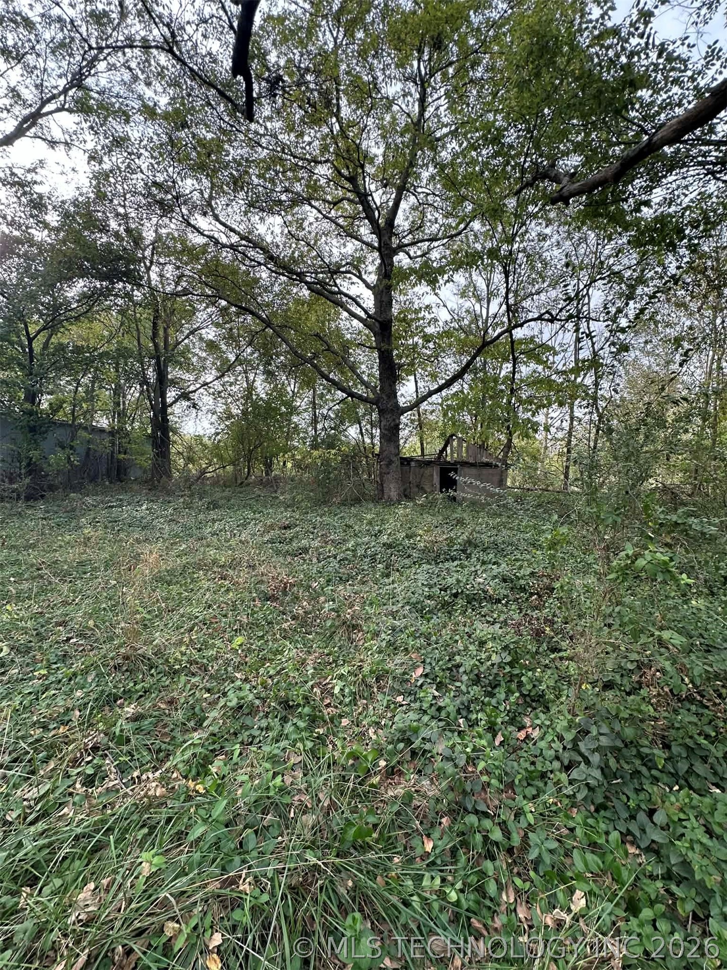 Tinker Avenue Property Photo 6