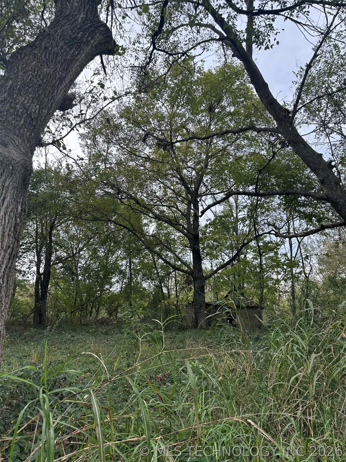 Tinker Avenue Property Photo 7