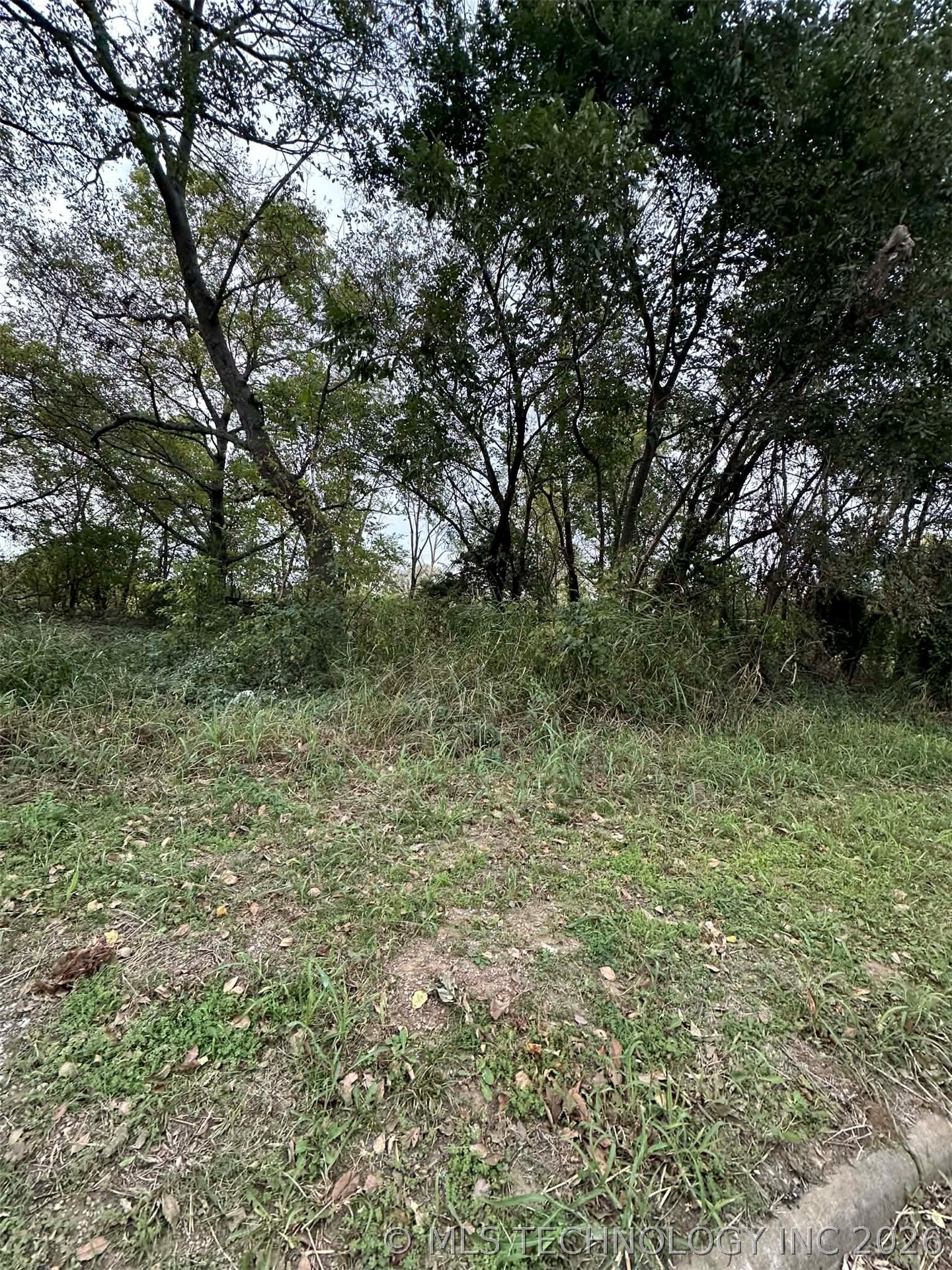 Tinker Avenue Property Photo 8