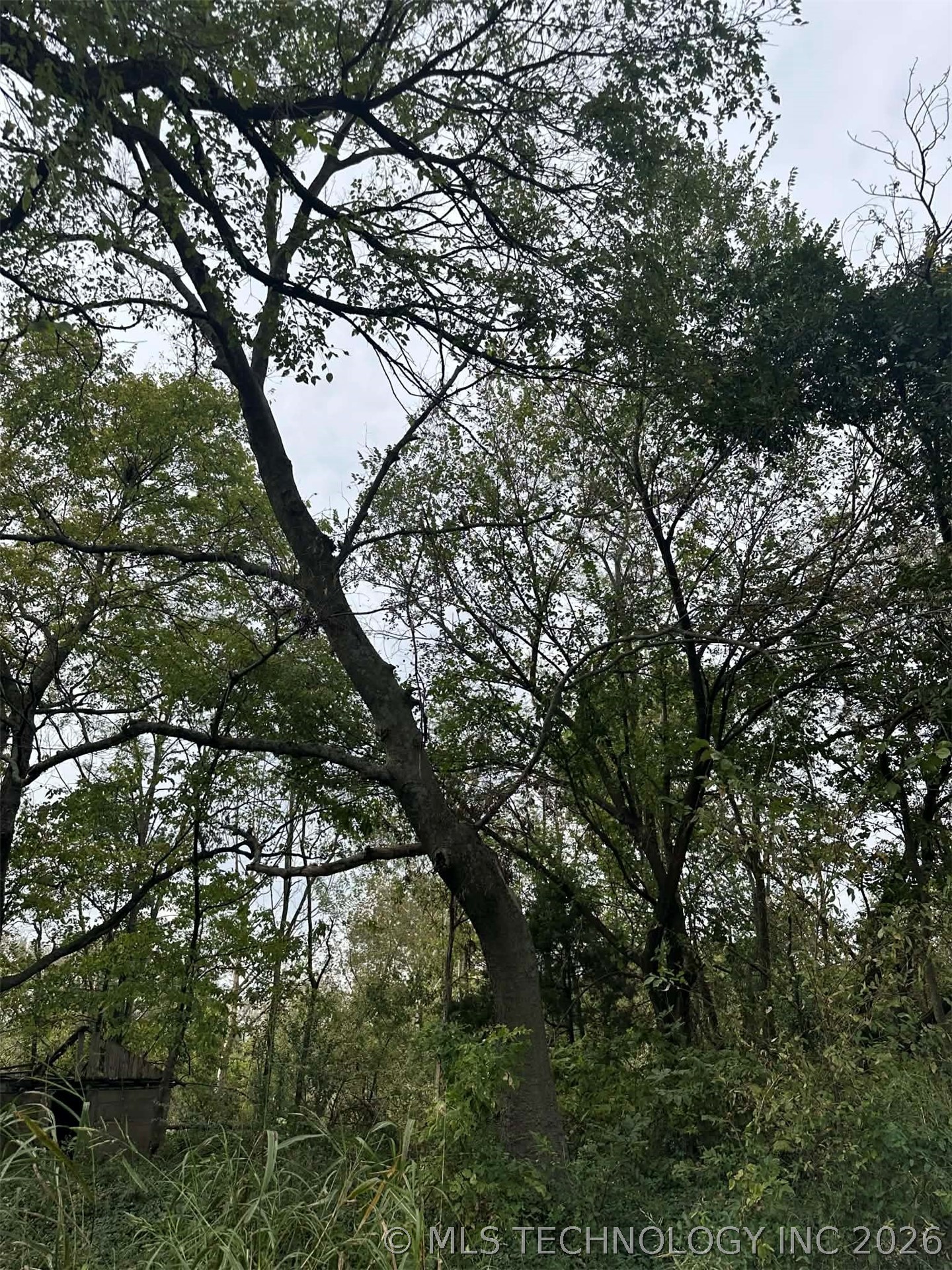 Tinker Avenue Property Photo 10