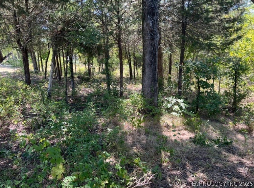 Cherokee Trail Property Photo 1