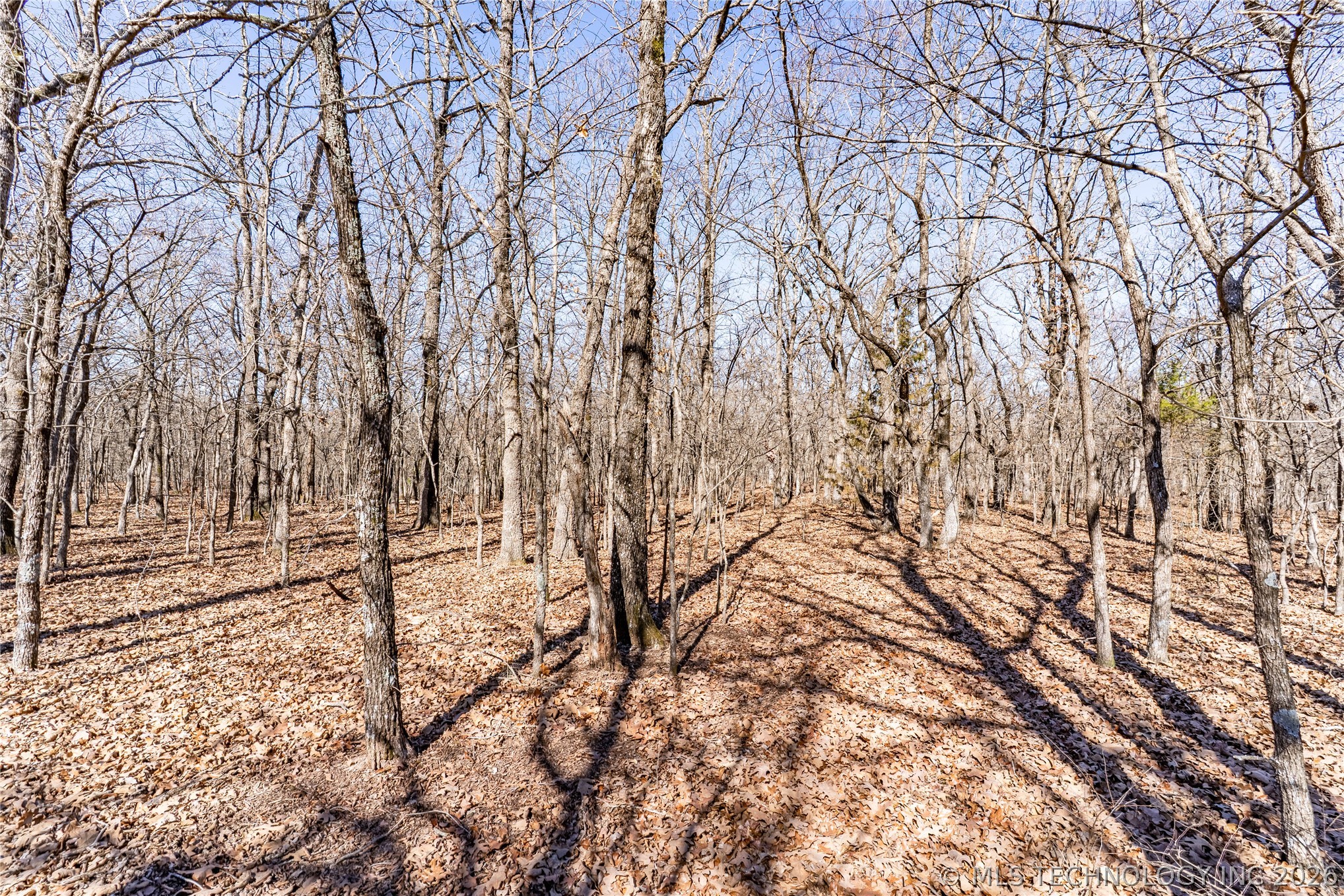 0000 N 3700 Road Property Photo 19