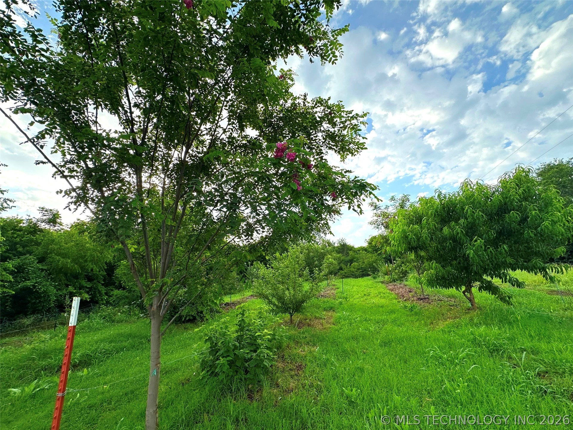 14902 E 370 Road Property Photo 12