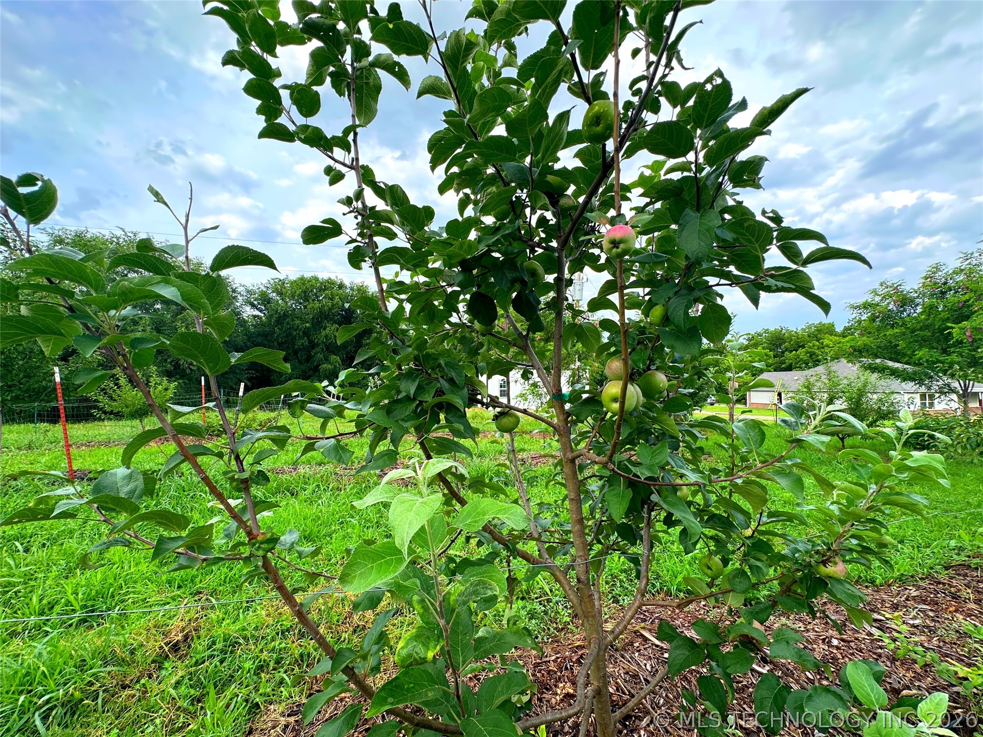 14902 E 370 Road Property Photo 13