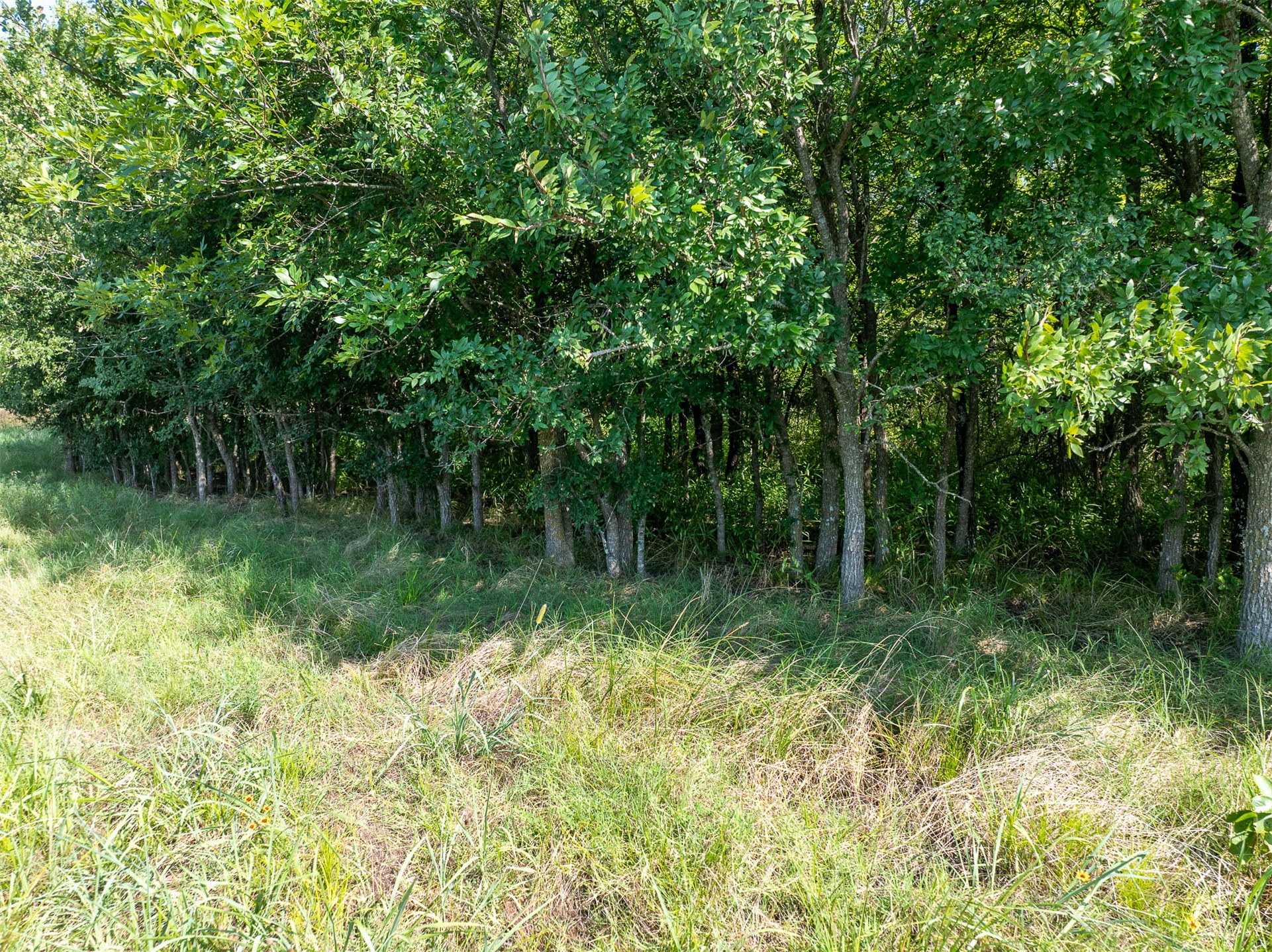 1 N 320 Road Property Photo 35