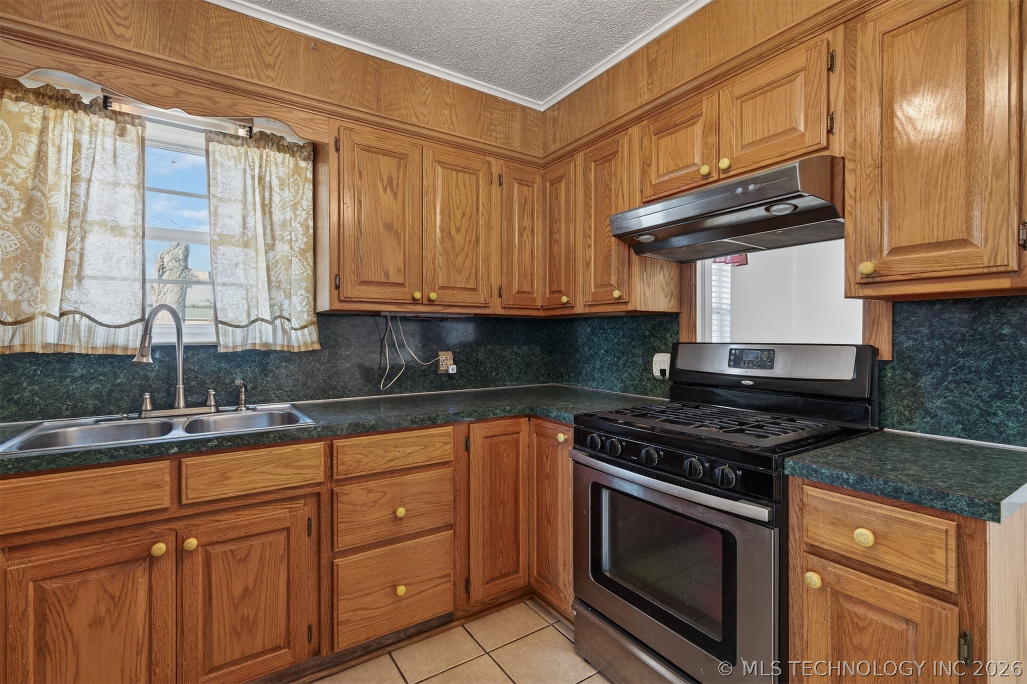 24415 Blue Goose Property Photo 17