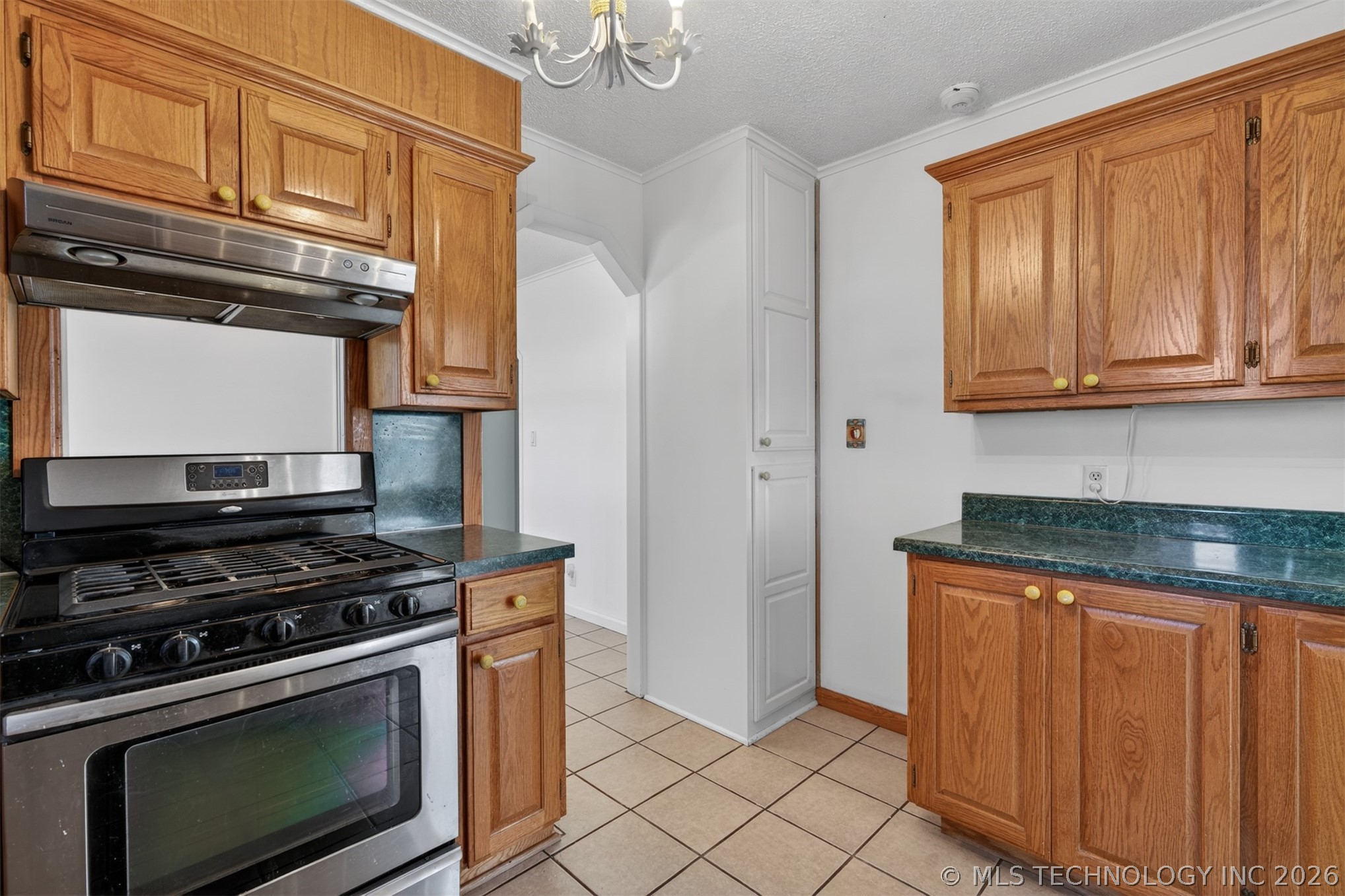 24415 Blue Goose Property Photo 19