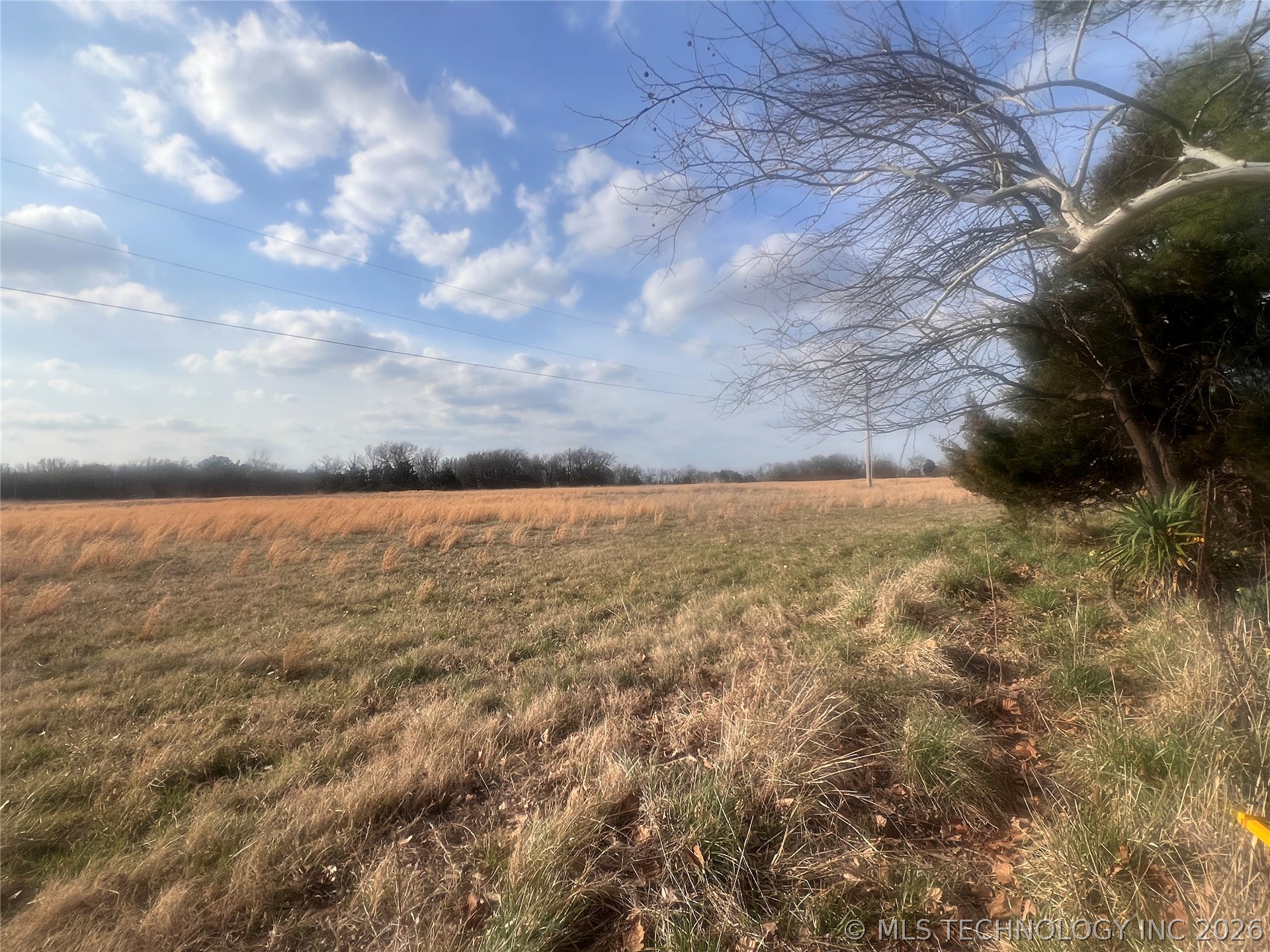 Harrison Property Photo 3