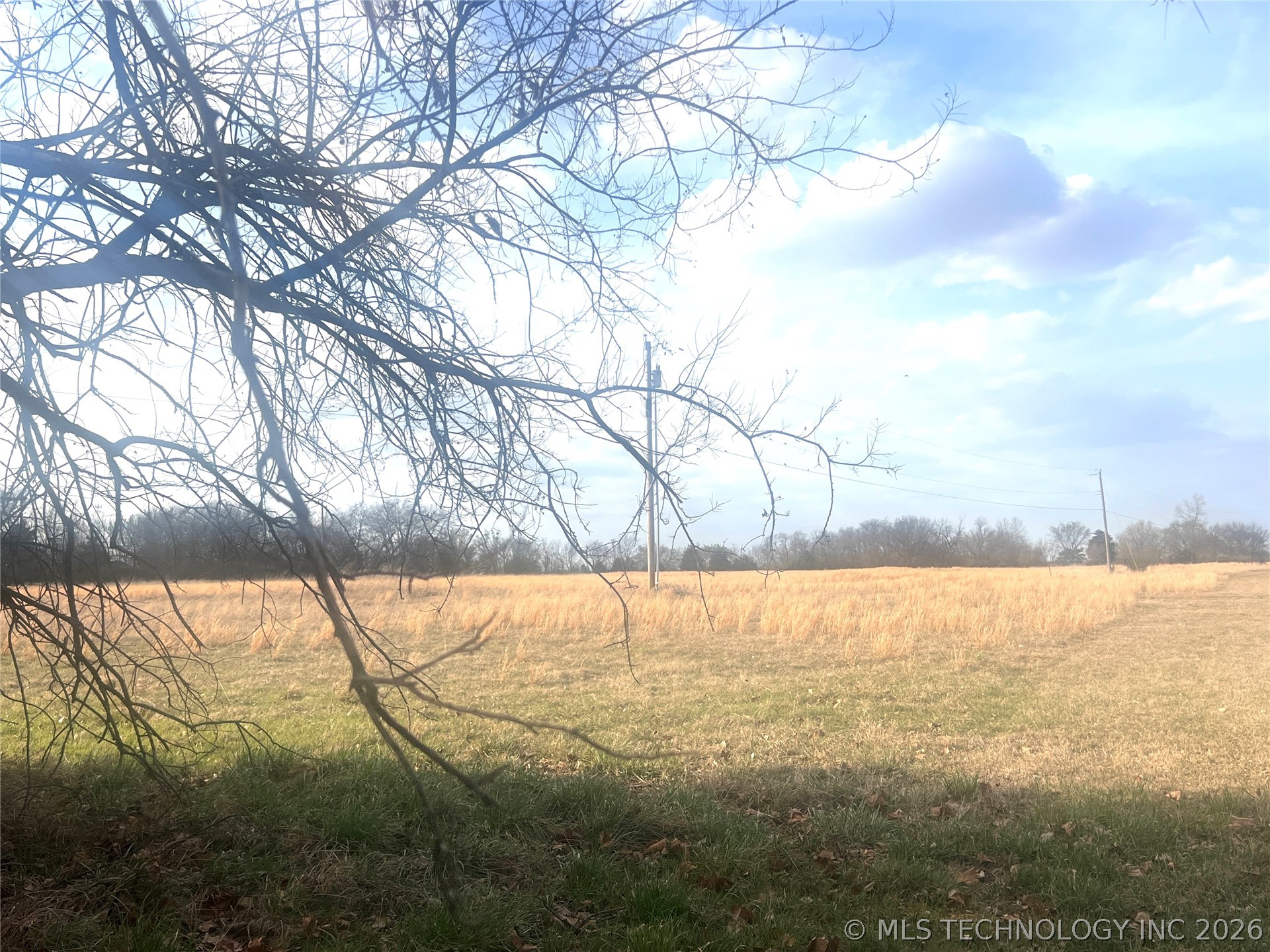 Harrison Property Photo 6