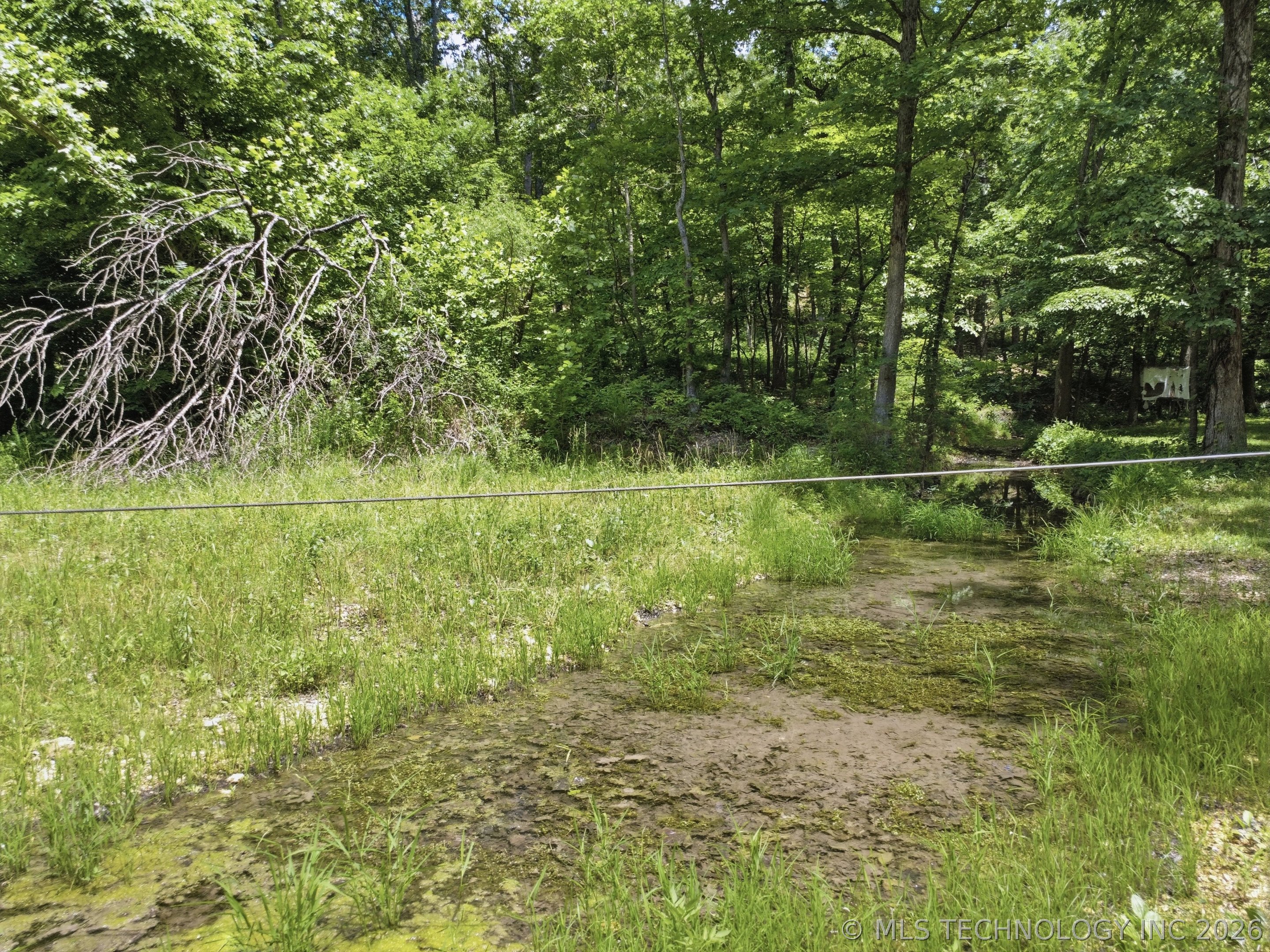 42177 S 540 Road Property Photo 9