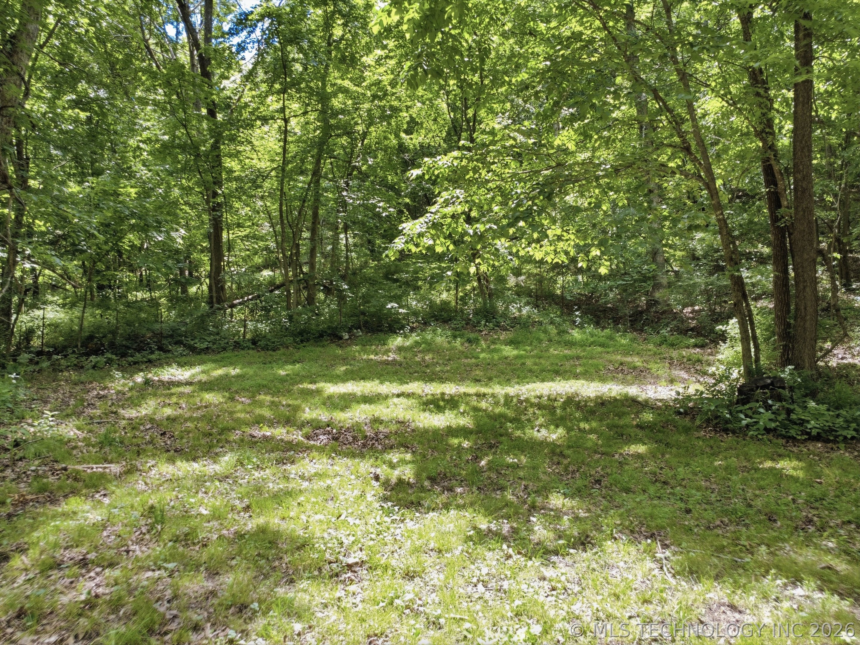 42177 S 540 Road Property Photo 11