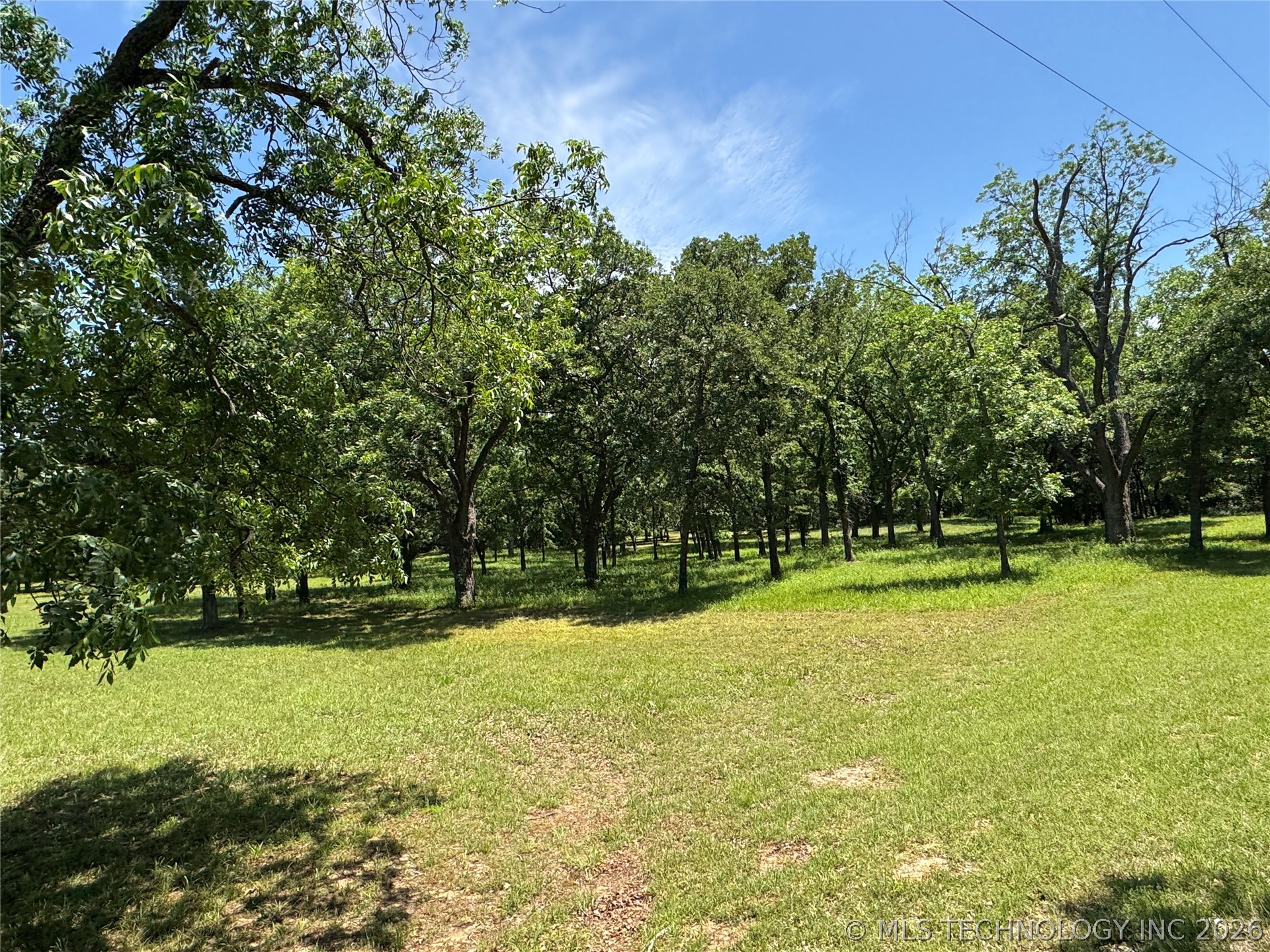 148 Big Buck Property Photo 10