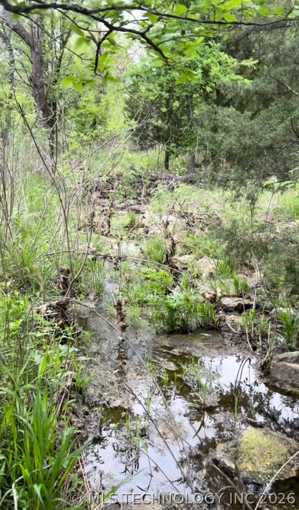 14091 Creager Road Property Photo 6