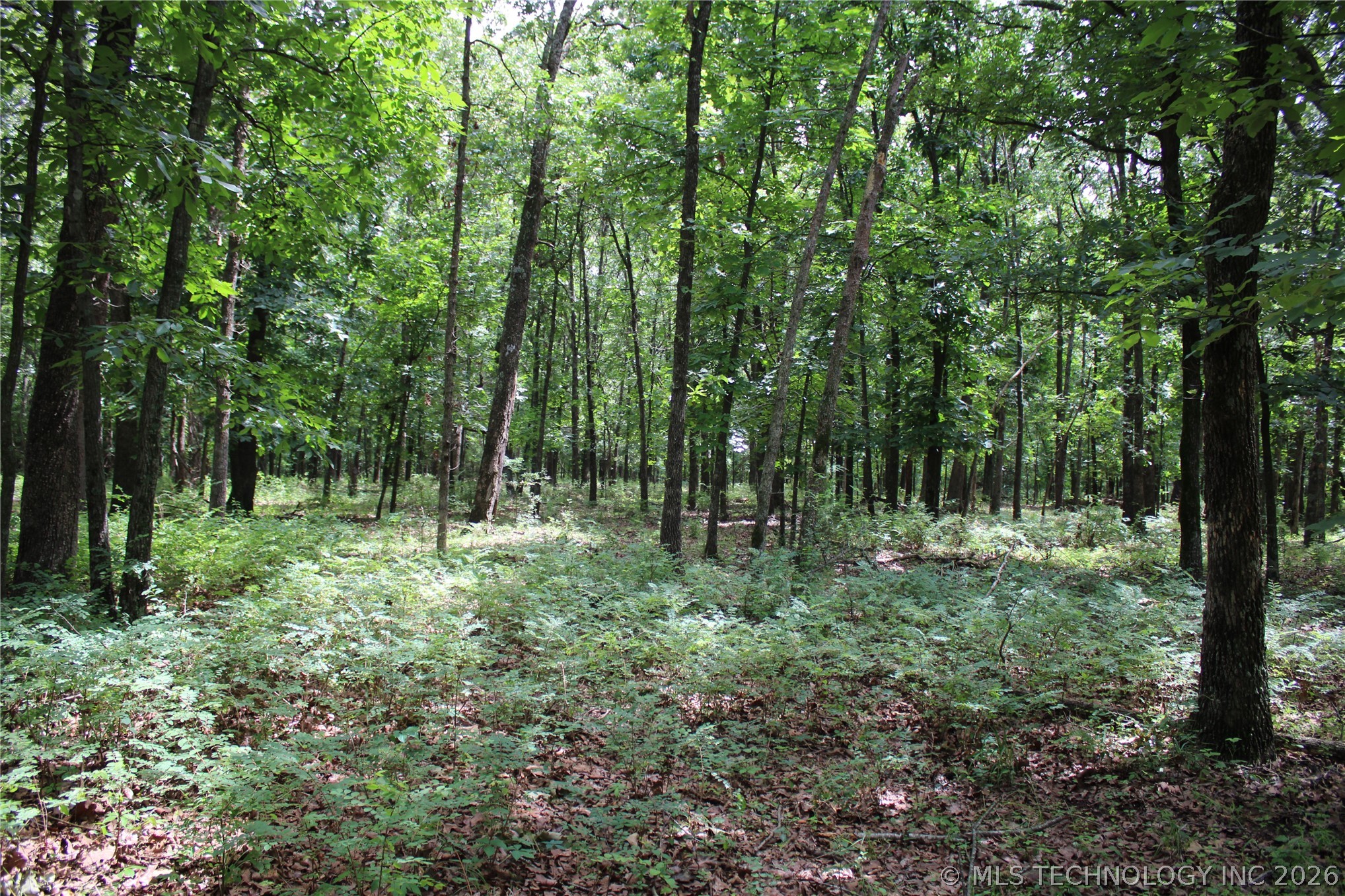 8101 S 700 Road Property Photo 21