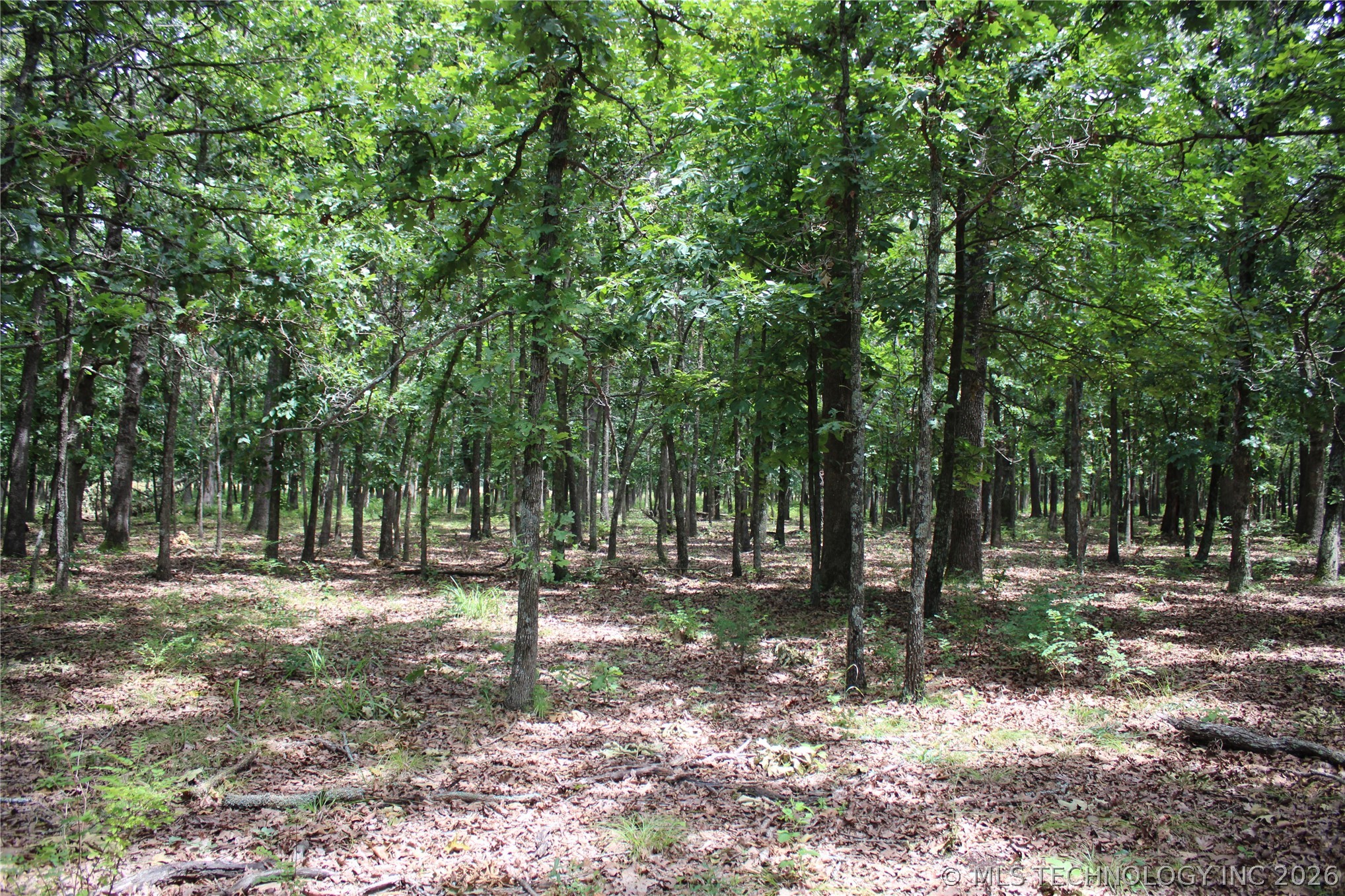 8101 S 700 Road Property Photo 25