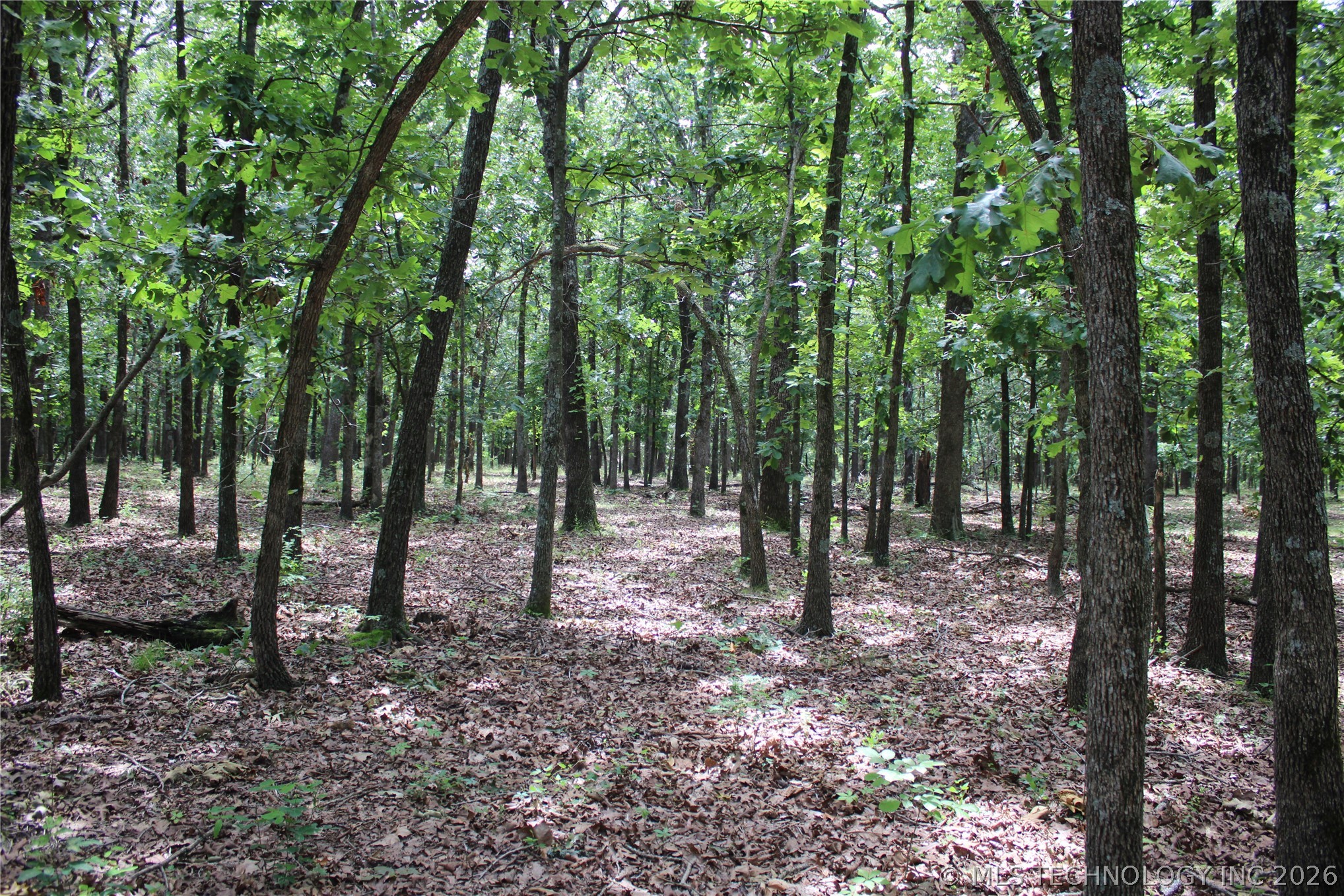 8101 S 700 Road Property Photo 26