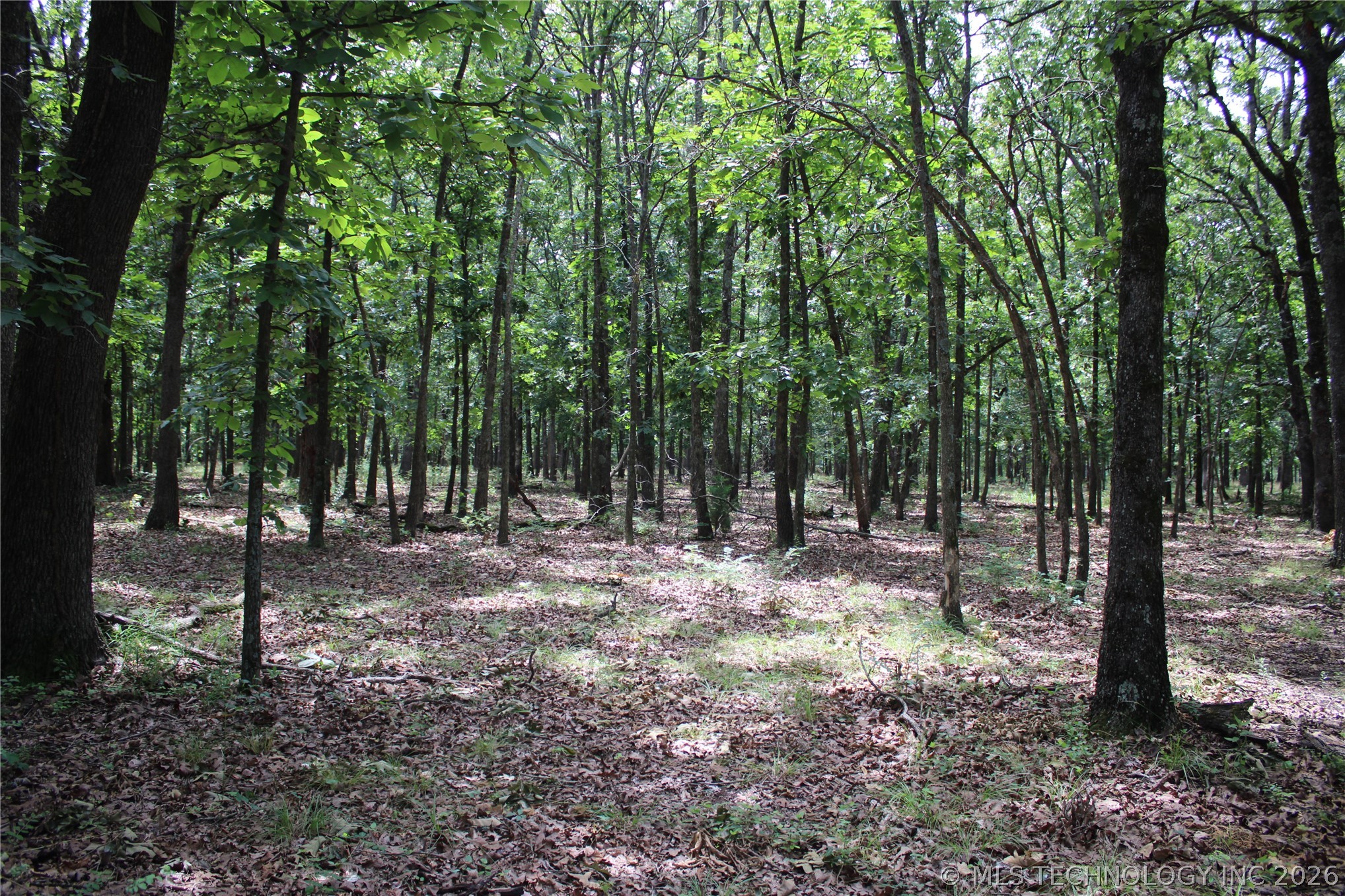 8101 S 700 Road Property Photo 27
