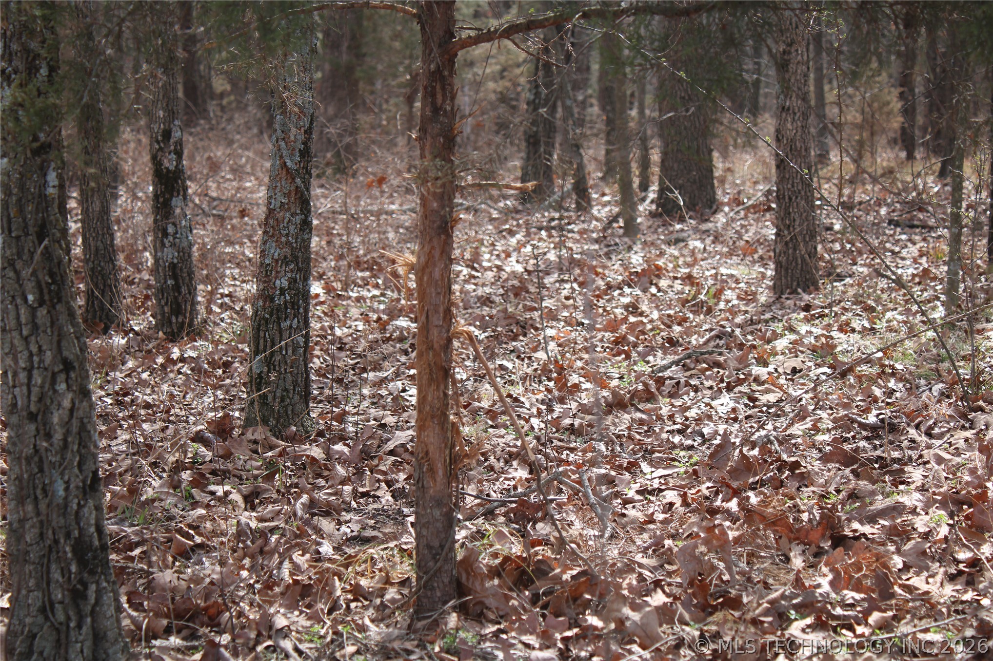 8101 S 700 Road Property Photo 37