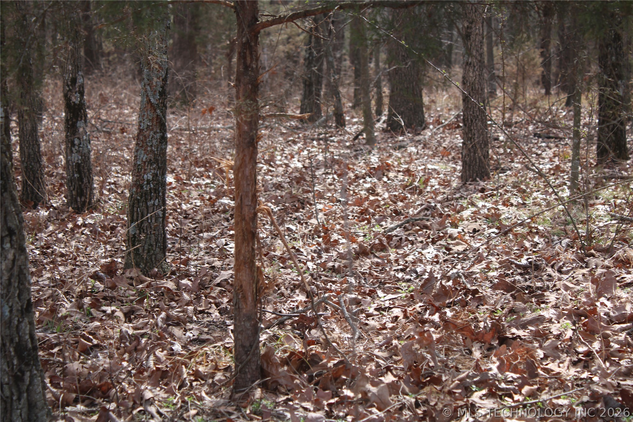 8101 S 700 Road Property Photo 38