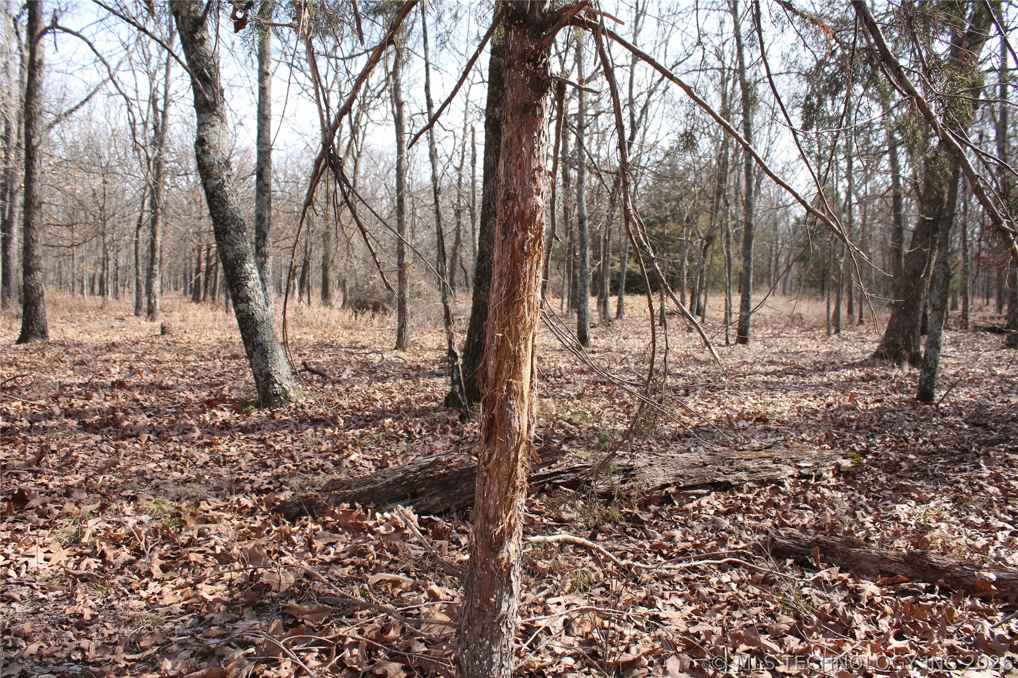 8101 S 700 Road Property Photo 39