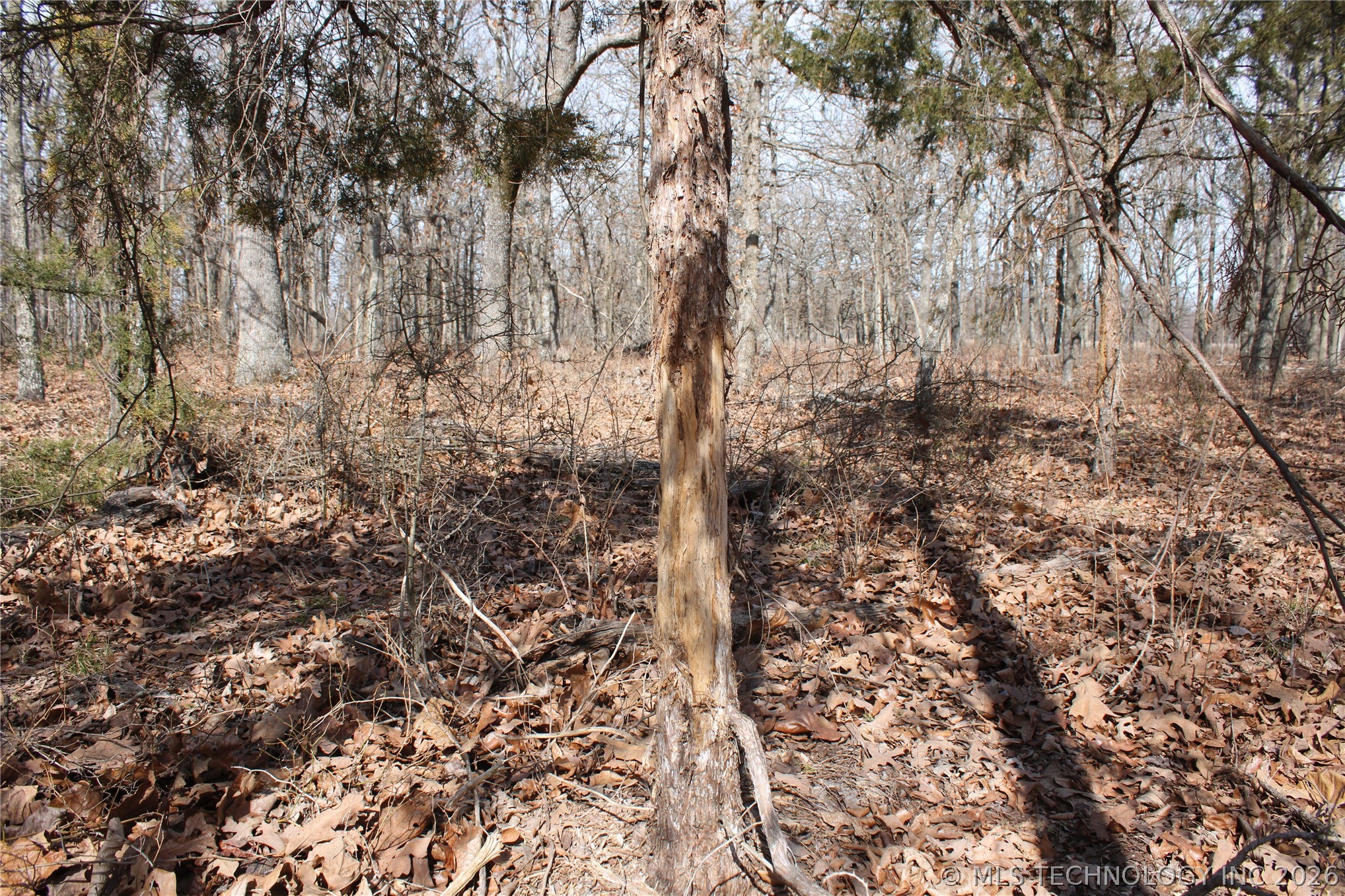 8101 S 700 Road Property Photo 40