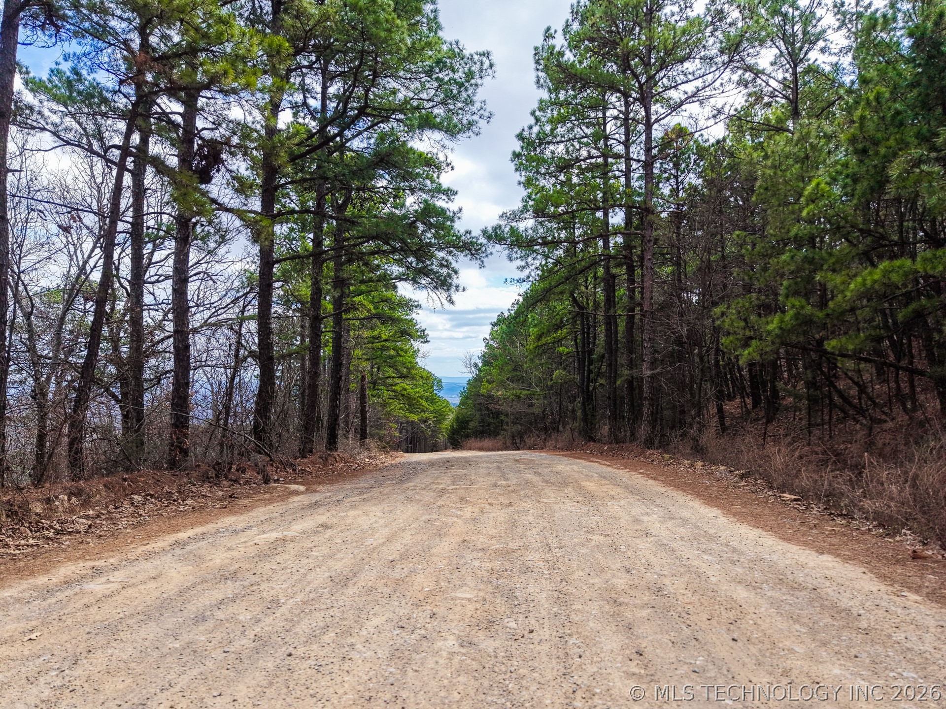 251 Ben Treado Road Property Photo 6