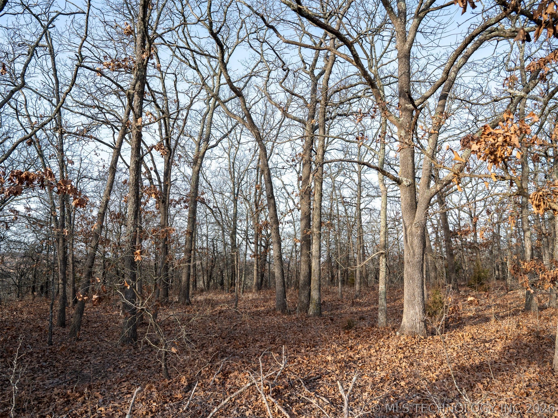 235 County Road 2732 Property Photo 66