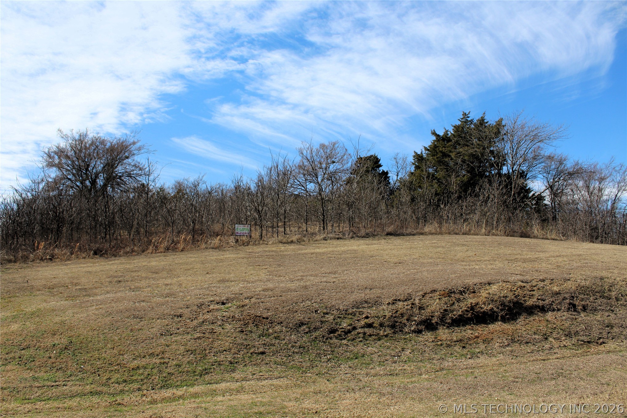 1901 River Oak Drive Property Photo 4