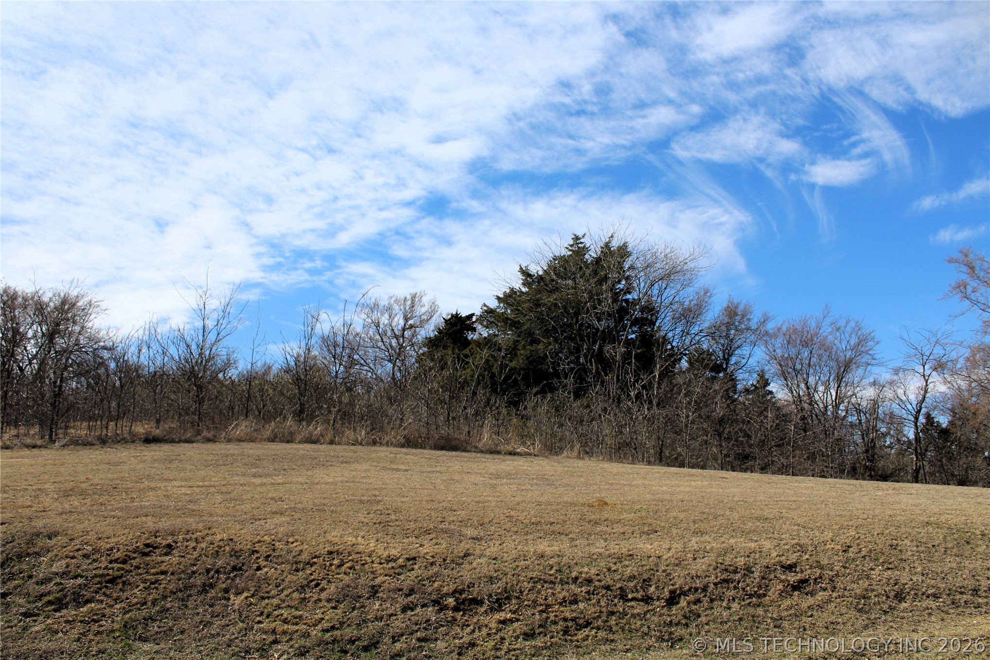 1901 River Oak Drive Property Photo 7