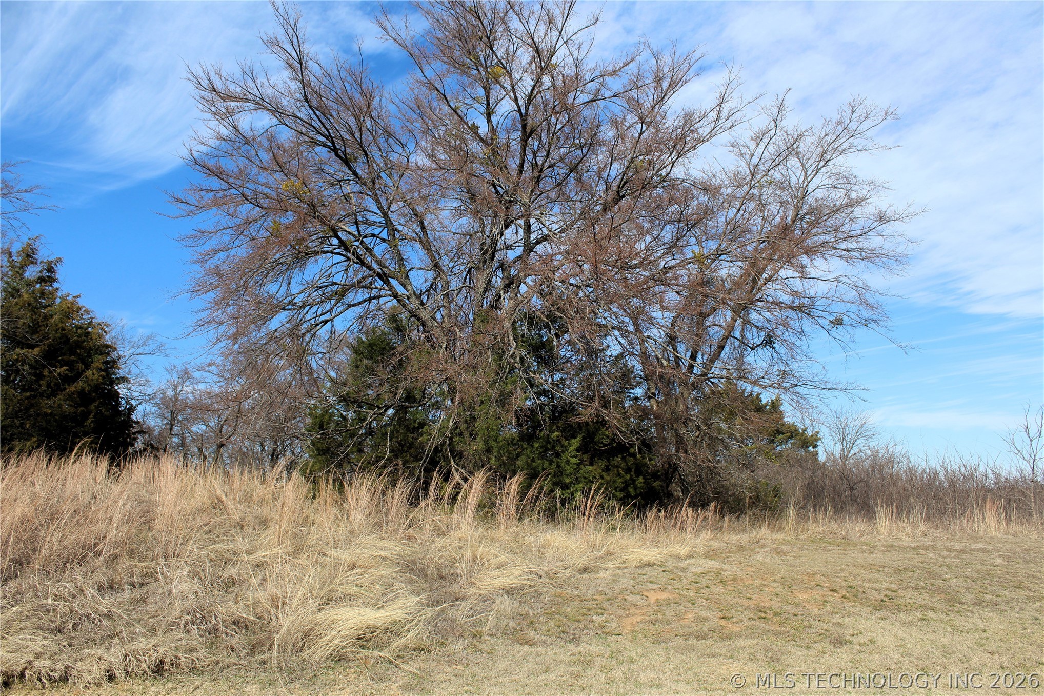 1901 River Oak Drive Property Photo 10