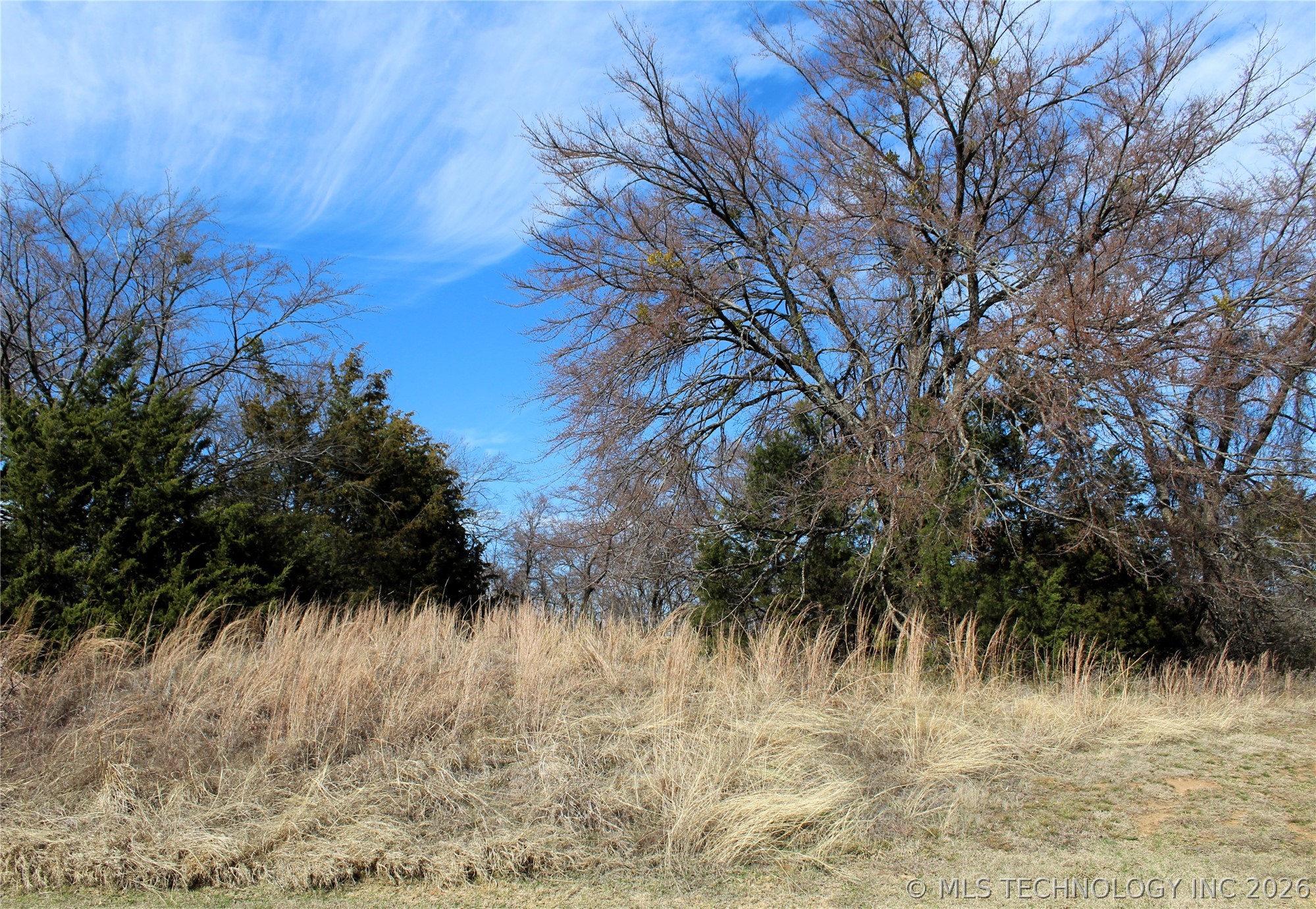1901 River Oak Drive Property Photo 11