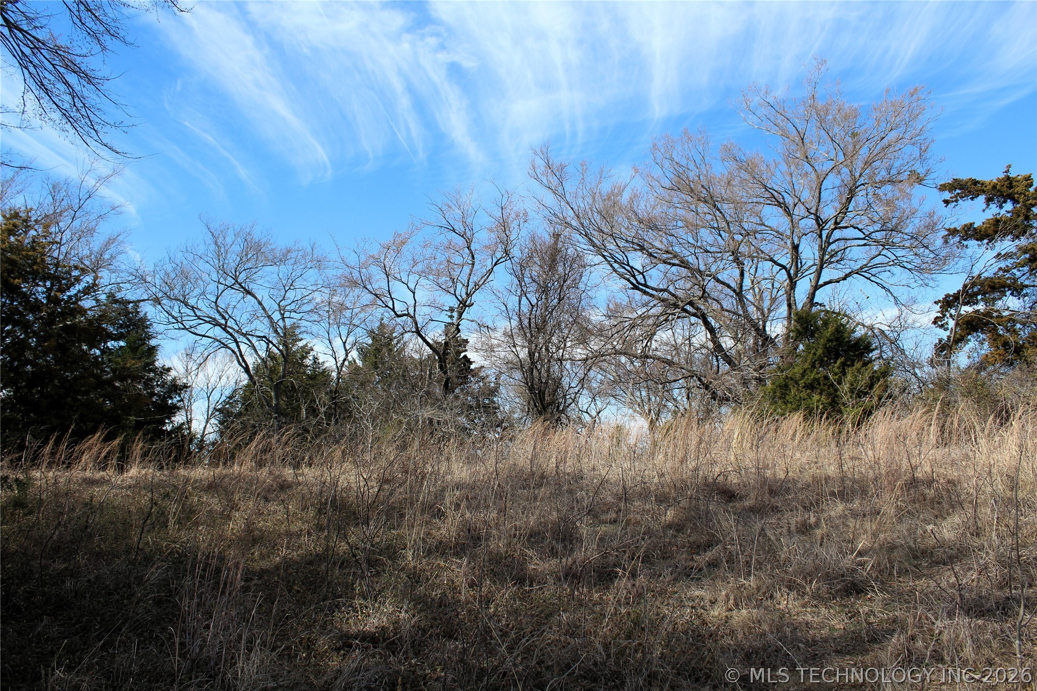 1901 River Oak Drive Property Photo 13