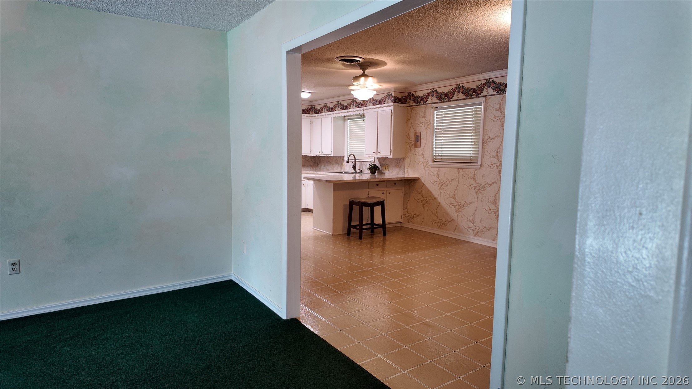 301 N County Line Property Photo 23