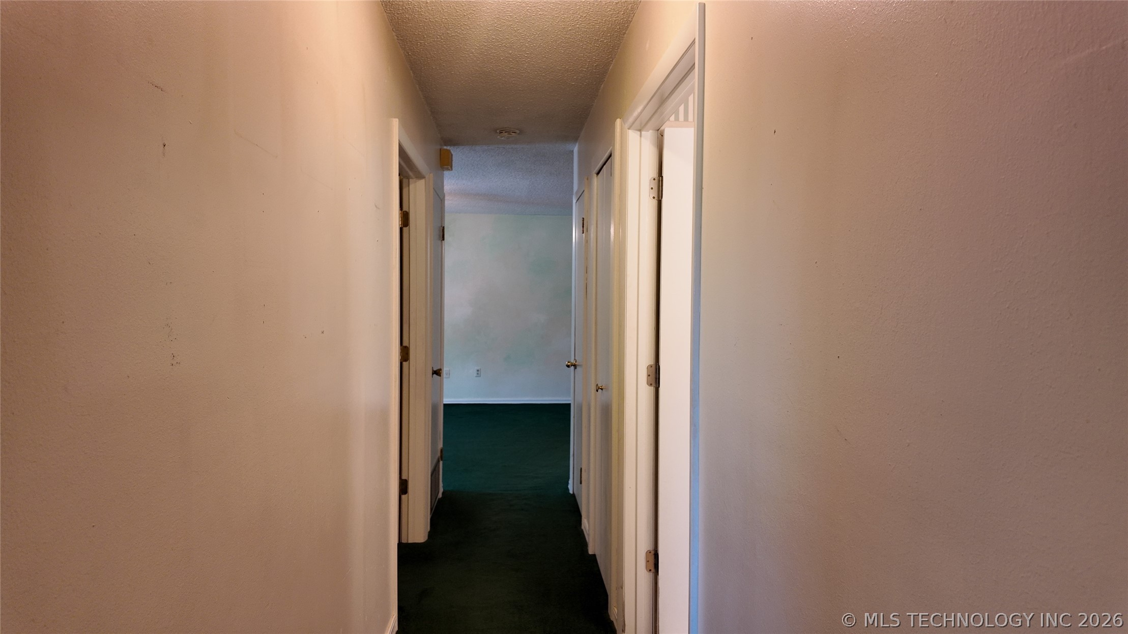 301 N County Line Property Photo 24