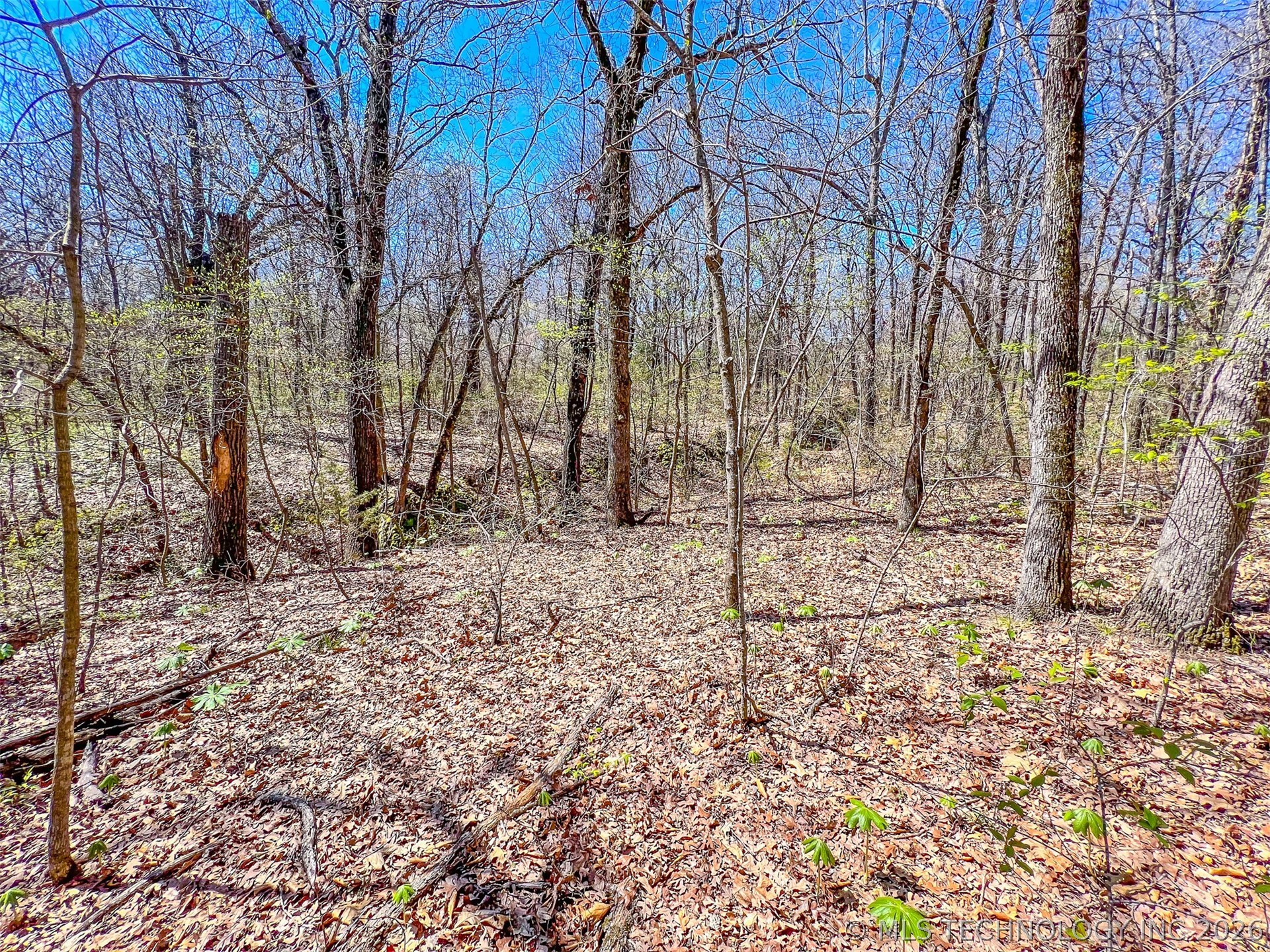 44 Ridge Circle Property Photo 11