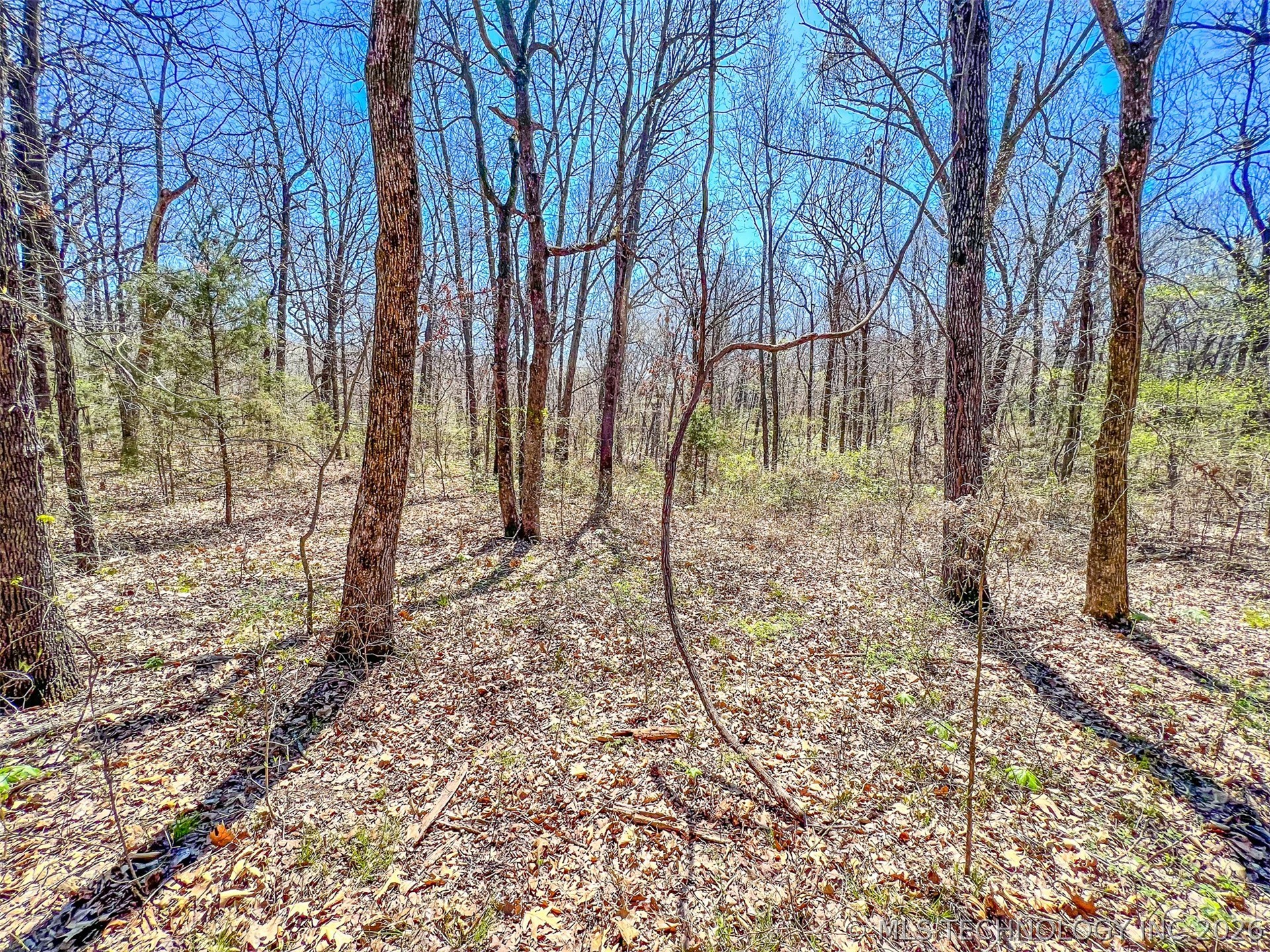 44 Ridge Circle Property Photo 14