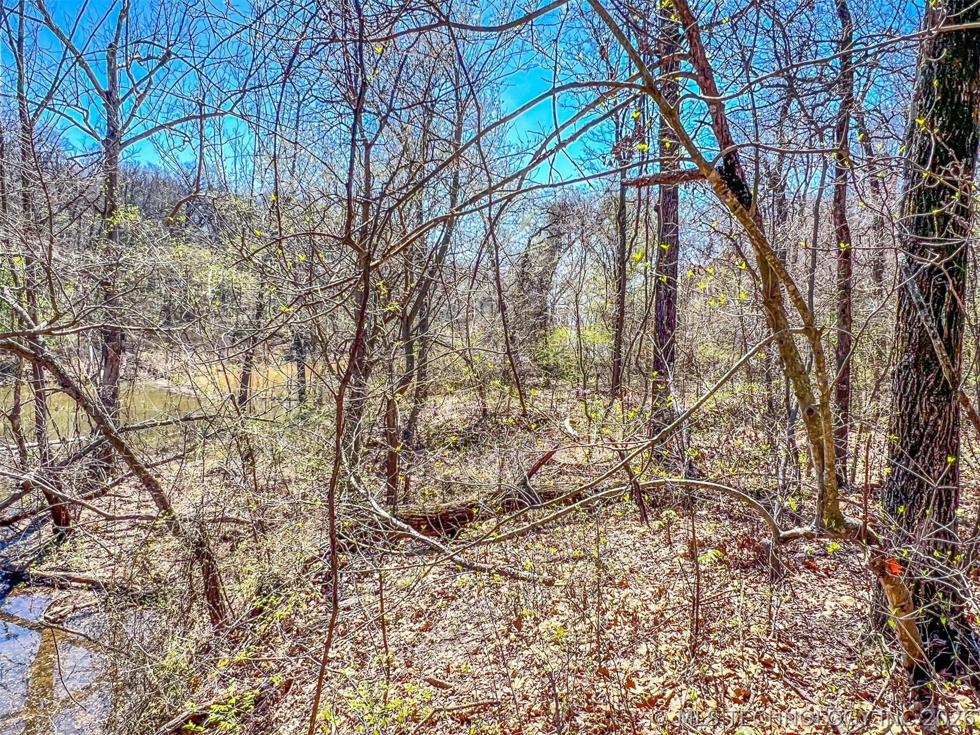 44 Ridge Circle Property Photo 15