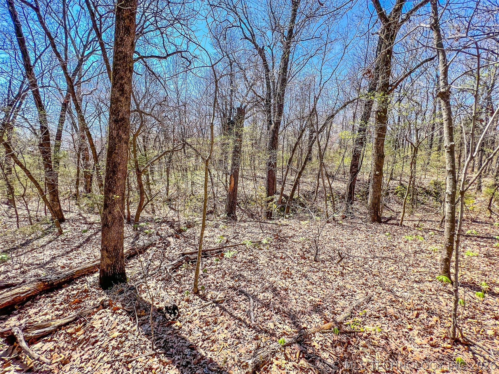 44 Ridge Circle Property Photo 16